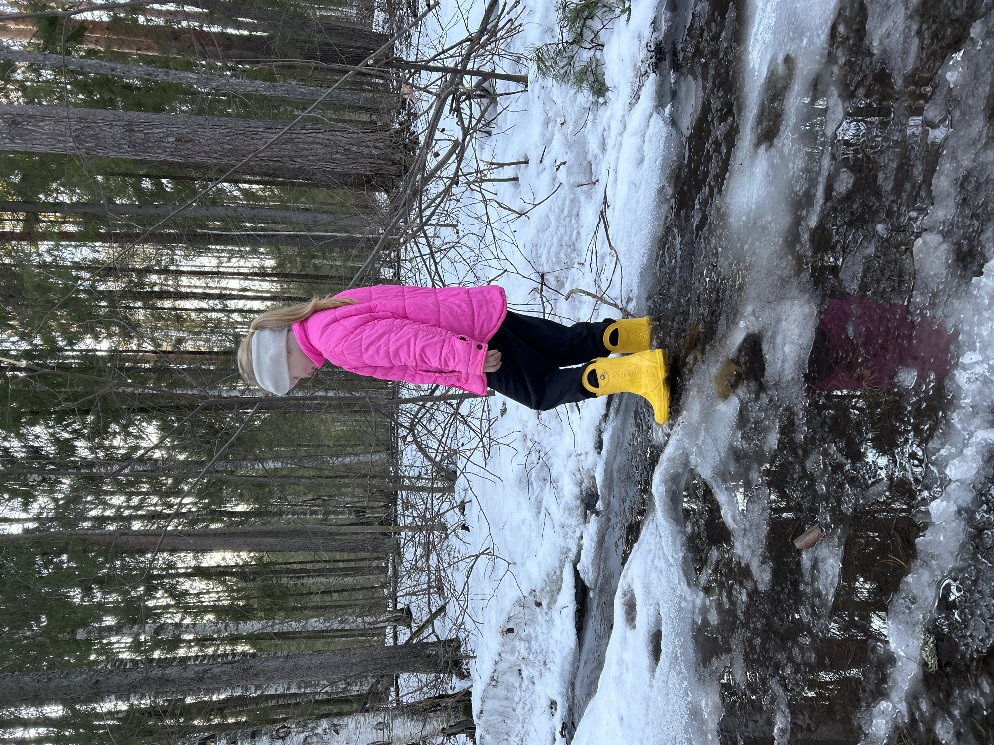 A young, fair-haired child wearing a pink jacket, dark pants, a light-colored headband, and yellow Crocs rain boots stands on a snowy and icy patch of ground, which appears to be a partially frozen stream or water runoff. The child is positioned in the foreground, looking towards the center-left of the frame. The background consists of a dense forest with tall trees, some with white bark visible among the darker trunks. The scene is generally cold and suggests early spring conditions with melting snow. Given the location of Noviy, Russia, it is likely in a forested or semi-rural area on the outskirts or within the city.