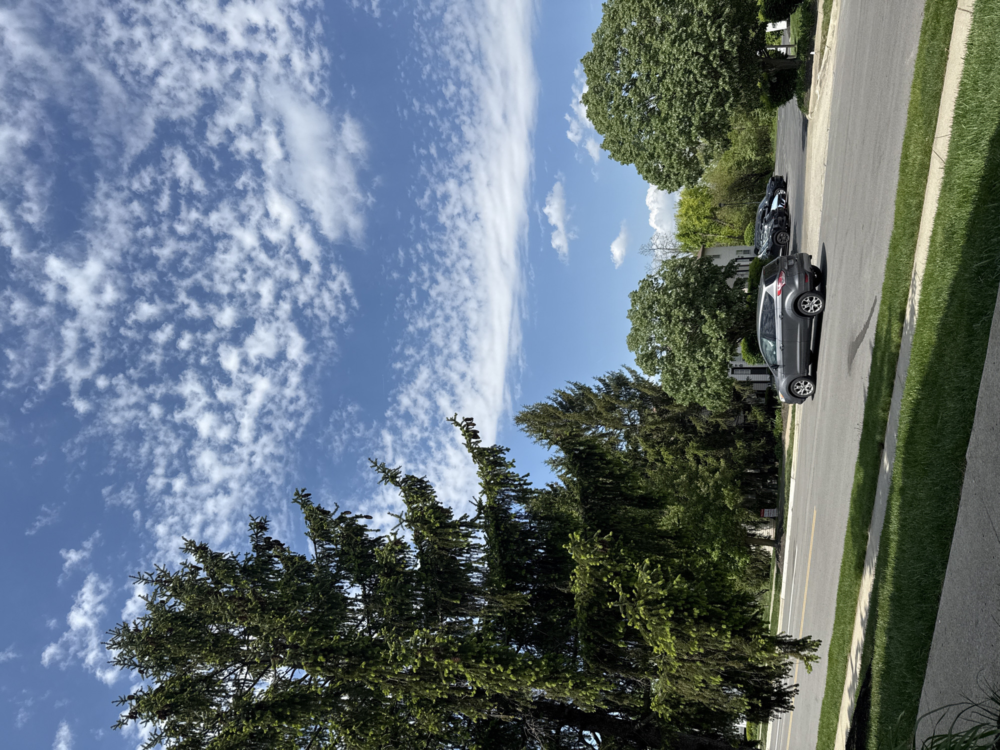 This daytime image captures a sunny residential street scene in Columbus, USA. The top portion of the frame is dominated by a clear blue sky, adorned with a variety of white clouds. On the left, many small, patchy clouds create a textured pattern, while towards the right, larger, more diffuse clouds are scattered.
Along the bottom and extending upwards on the left, large, dense coniferous trees, possibly spruce or fir, fill a significant part of the foreground. Their dark green foliage and some visible pinecones contrast with the bright sky. On the right side of the image, an asphalt road runs parallel to the viewer, bordered by a concrete sidewalk and a strip of vibrant green grass.
Several vehicles are parked along the right side of the street. A prominent silver or light grey SUV, featuring a spare tire on its back, is visible in the mid-ground. Other darker cars are parked further down the street, which is also lined with lush green deciduous trees. Houses are partially visible in the background, nestled behind the trees.
The scene suggests fair weather, likely mid-morning or afternoon, given the bright sunlight and the distinct shadows cast by the trees and vehicles onto the road and grass. It depicts a peaceful and typical suburban environment. No discernible text is visible within the image.