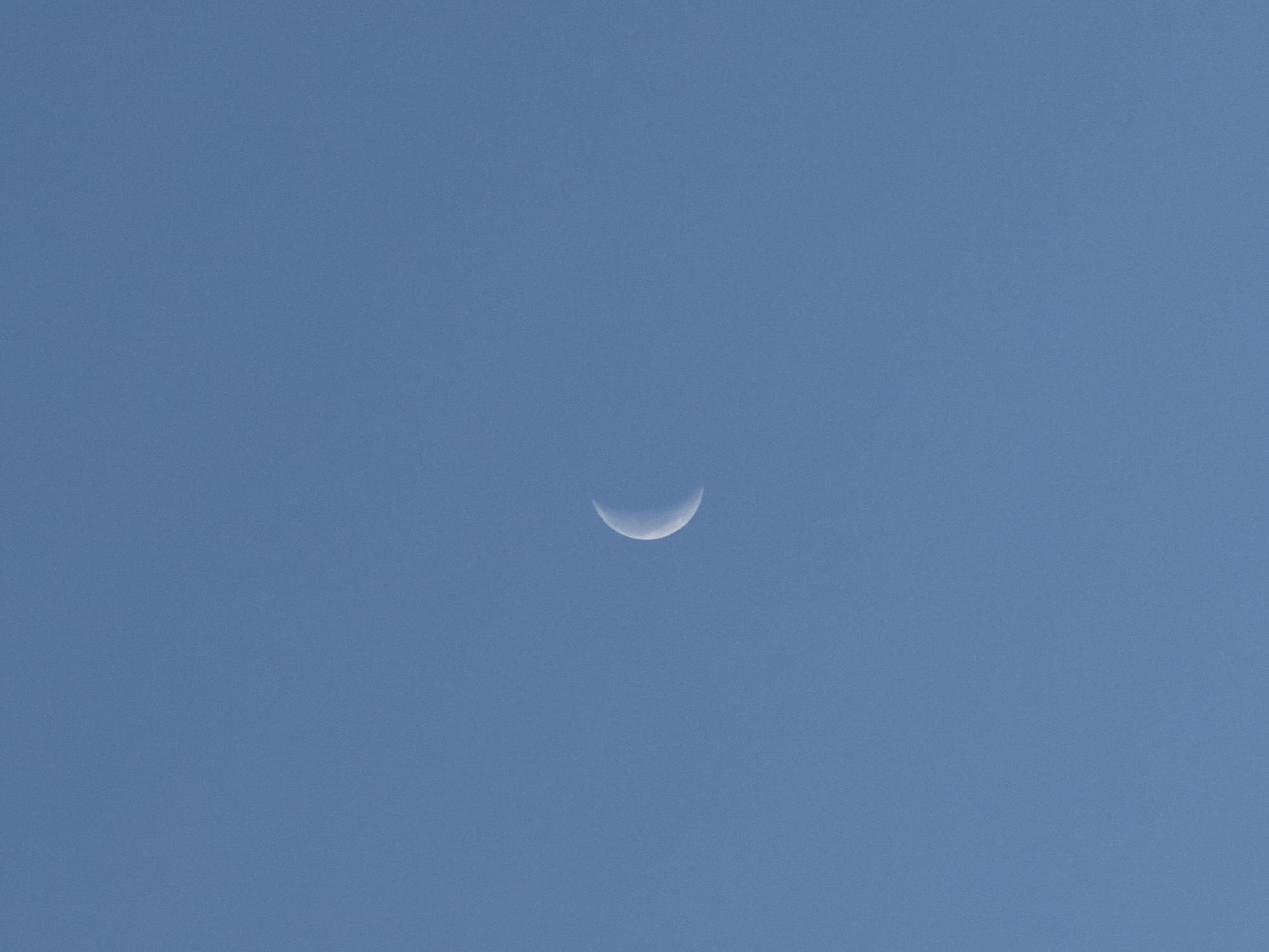 A crescent moon is centered in a cloudless, light blue sky.