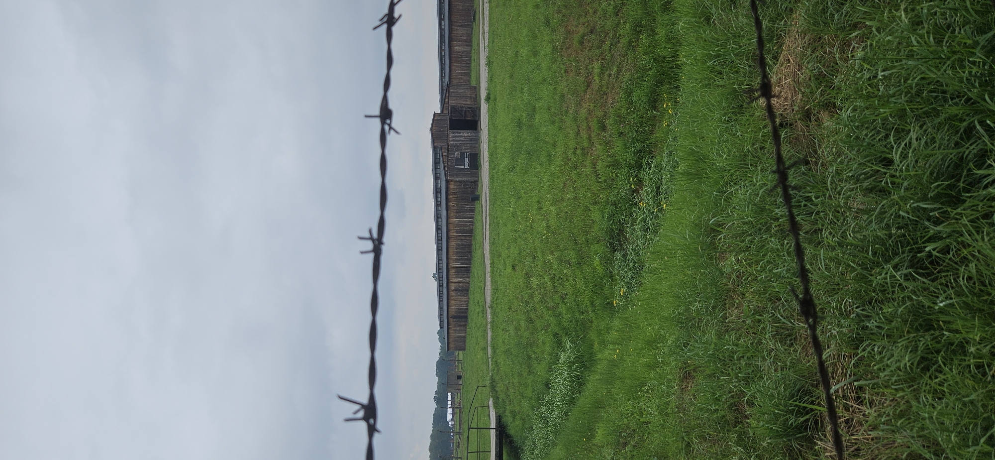 The image depicts a long, low wooden building with a dark roof and open doorways, characteristic of barracks at a concentration camp. The building is situated in a grassy field, with a clear path leading to its entrance. In the foreground, a barbed wire fence stretches across the frame, obscuring a portion of the view. The sky is overcast and gray, contributing to a somber atmosphere. The overall scene appears to be an outdoor historical site, likely a preserved section of a former concentration camp, such as Auschwitz-Birkenau, in Brzezinka, Poland. The presence of barbed wire and the stark, utilitarian architecture of the building suggest a place of confinement and historical significance related to past atrocities.