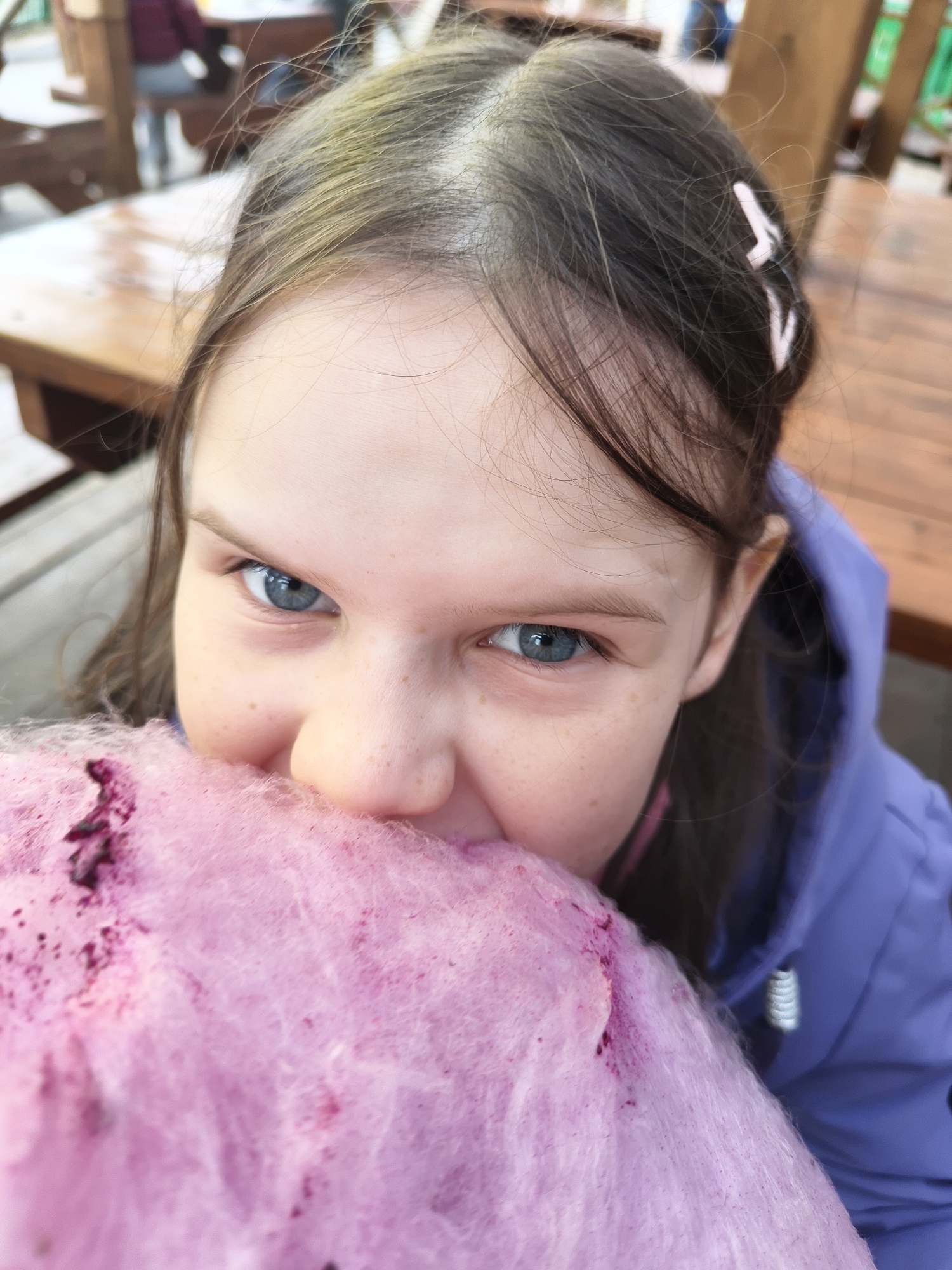 A close-up, eye-level portrait captures a young girl with bright blue eyes and dark hair, seen from the chest up. She is actively eating a large, fluffy mass of vibrant pink cotton candy, which obscures her mouth and lower nose. Her gaze is directed intently towards the camera, conveying a sense of engagement or playfulness. Freckles are visible across her nose and cheeks. Her hair, which has some lighter streaks on top, is pulled back and secured with small, light-colored clips visible on the right side of her head. She is wearing a purple hooded jacket, with a glimpse of a pink garment underneath near her neck. The background is out of focus but suggests an outdoor or semi-outdoor setting, featuring blurred wooden tables and benches, possibly at a cafe, park, or fairground. The natural lighting indicates it is daytime. There is no visible text.