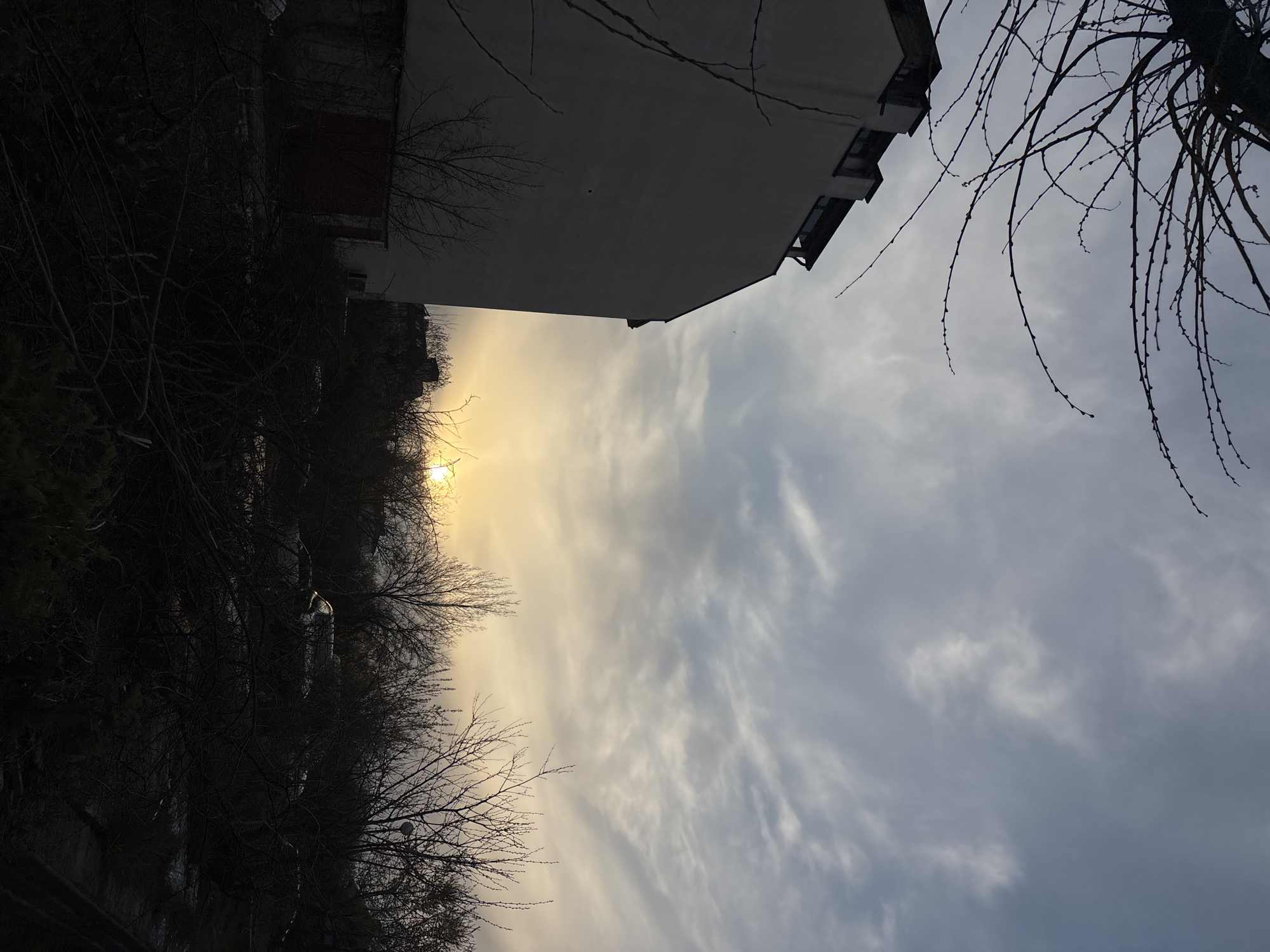 The image shows a low-angle view of a street scene. A building, possibly an apartment block, is visible on the right, partially silhouetted against a cloudy sky. Bare tree branches frame the upper edges of the image. A second building, or a wall, with foliage is on the left side of the image and obscuring part of the sun. The sky appears overcast, with varying shades of gray and white. The location may be Sofia, Bulgaria. There are no people visible.