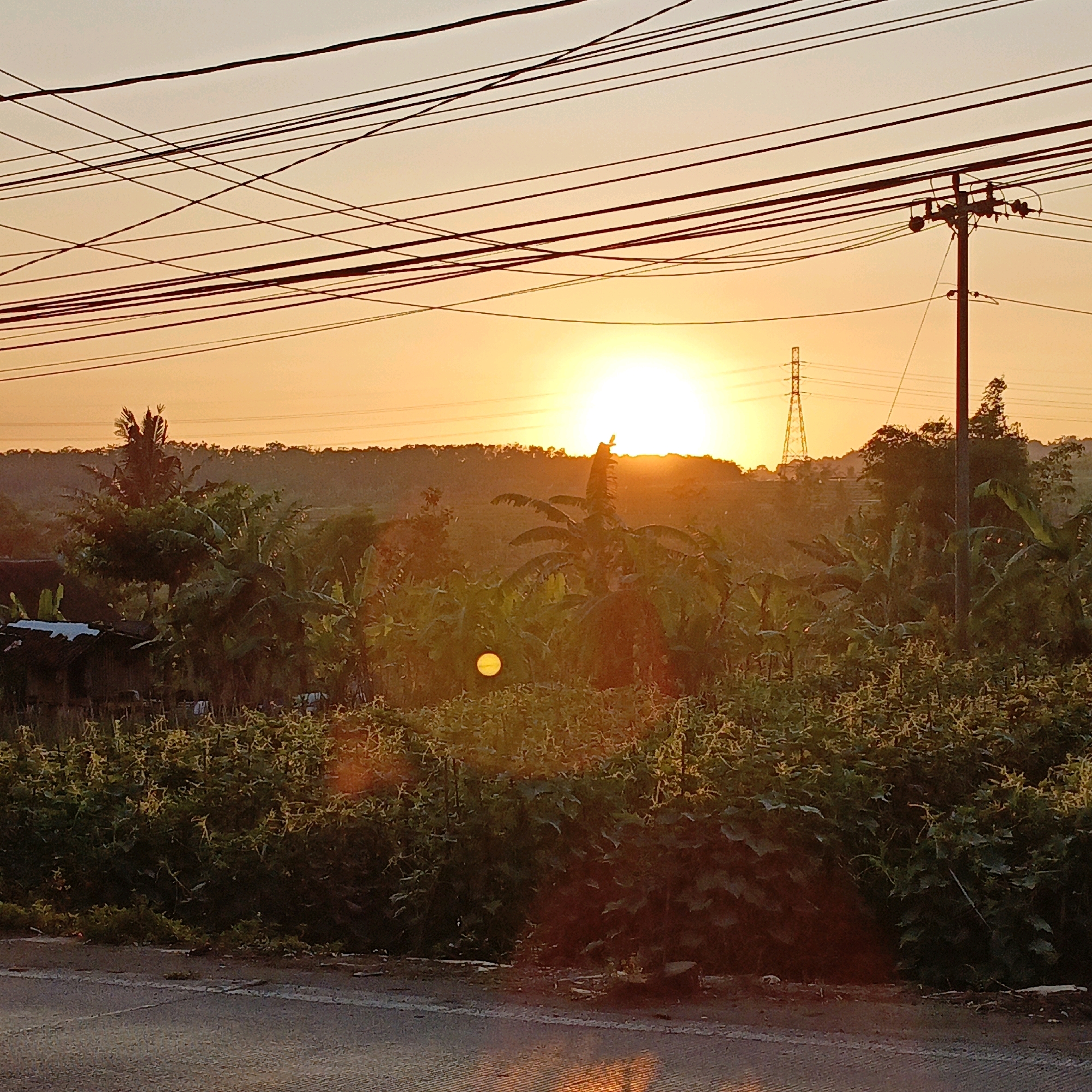 The image depicts a rural landscape at sunset, likely in Salatiga, Indonesia. A power pole and a lattice tower are visible on the horizon, with numerous overhead power lines crisscrossing the sky. The sun, a bright orb, is setting behind a line of trees and hills, casting a warm orange glow. The foreground is filled with lush vegetation, including banana trees and other dense foliage. A small structure, possibly a house, is partially visible on the left side of the frame. A paved road runs along the bottom of the image, reflecting the sunset light. There are no people or animals visible in the scene.