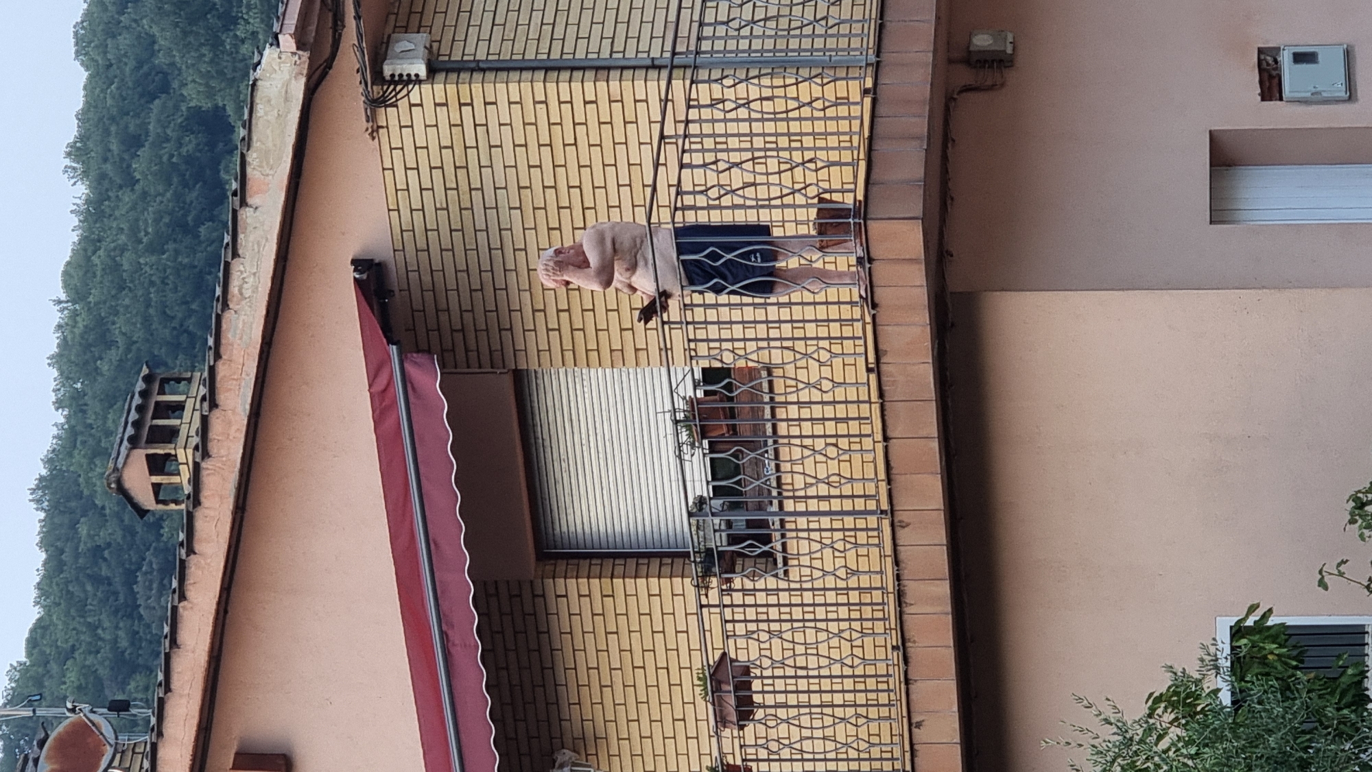 A man stands on a balcony, his left hand on his head, holding a dark object in his right hand. He is wearing dark shorts and is shirtless, exposing his bare chest and stomach. The balcony is enclosed by a metal railing with a decorative pattern. Behind him, a building with light yellow brickwork is visible, with a closed, slatted window. A red awning extends from the building above the window. The balcony overlooks a treed hillside under a pale sky. The man appears to be in a residential area of Sant Joan les Fonts, Spain.