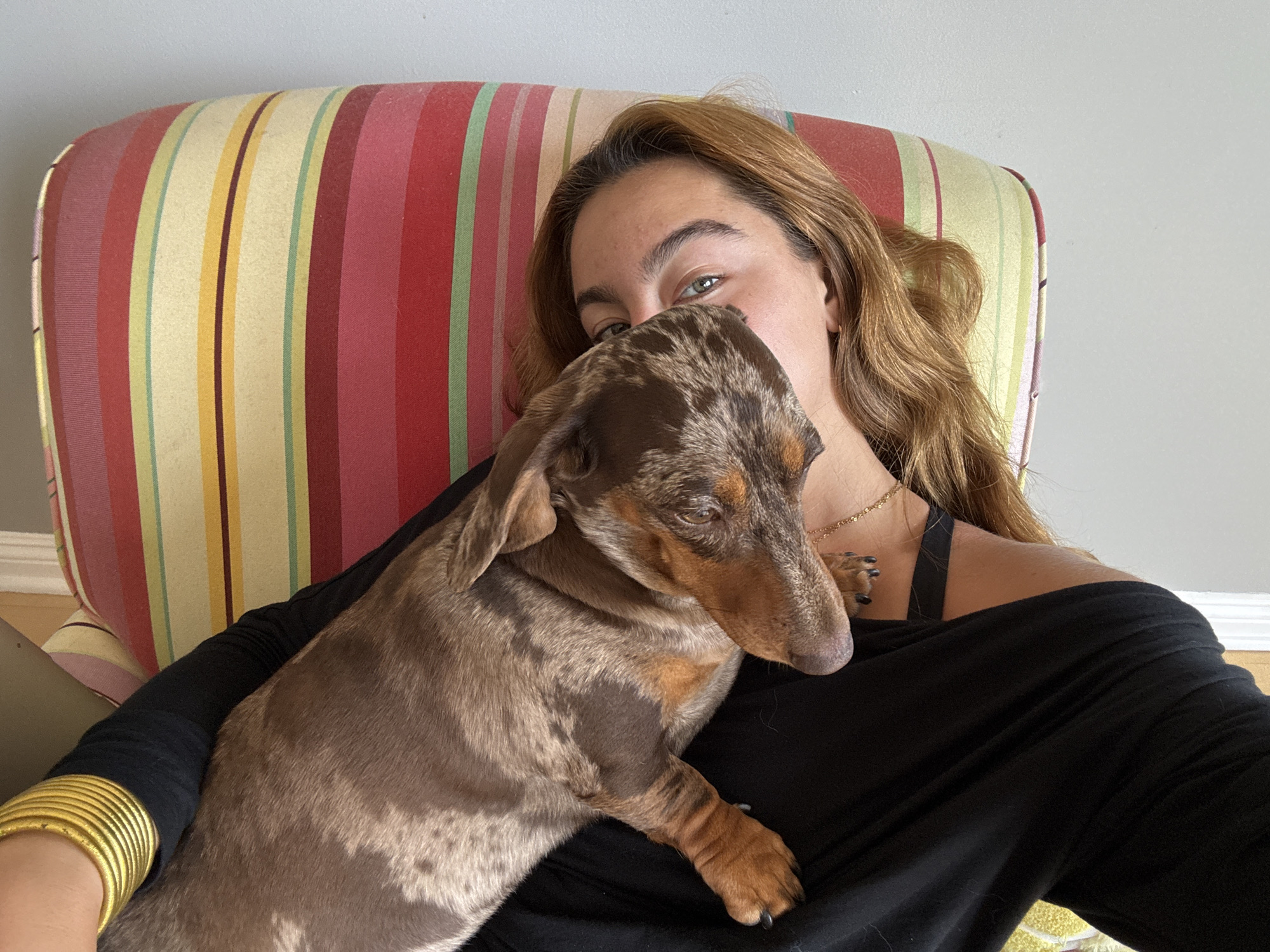 A woman is sitting in a striped chair, holding a dachshund dog. The woman has light brown hair and green eyes, and she is wearing a black top and a gold necklace. The dachshund has brown and tan speckled fur. The setting appears to be indoors, possibly a home. The location is the city of Los Angeles, United States of America.