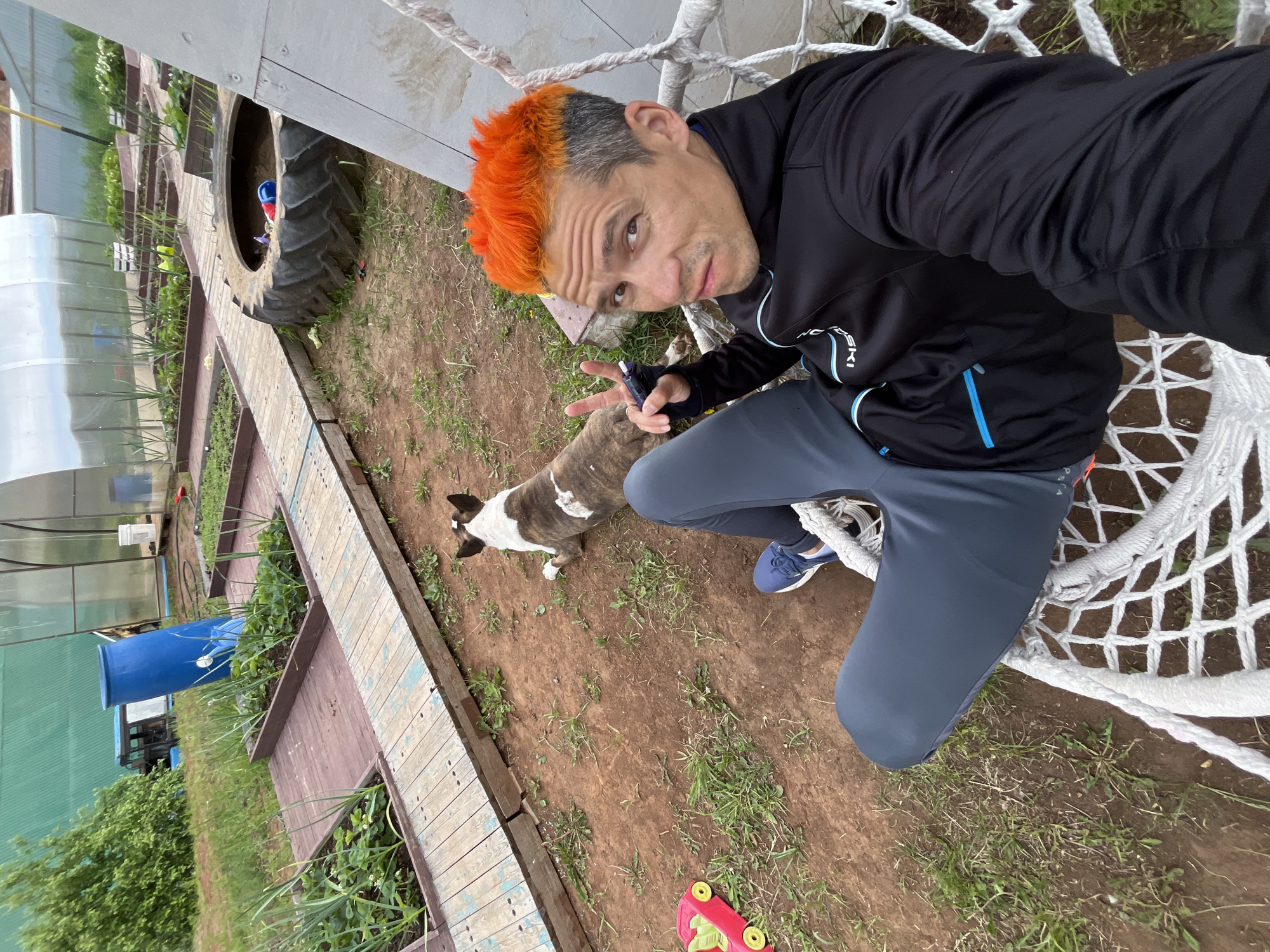 A man with bright orange and gray hair, wearing a black athletic jacket with blue accents (possibly "NORSEKI" branding) and gray sweatpants, crouches outdoors, taking a selfie. He makes a peace sign with his left hand while holding a small, dark electronic device. He looks directly at the camera with a casual expression. To his right, a large, white woven net structure is visible.
A small, brindle and white dog stands on the dirt ground near the man. The background reveals an outdoor setting, likely a garden or backyard in Chaikovsky, Russia. Features include a wooden pathway or raised garden bed border, a large, worn tire partially embedded in the ground, and a clear greenhouse structure. Further in the background, a blue barrel, additional greenery, and what appears to be part of a vehicle or machinery can be seen. The ground is a mix of dirt and sparse green grass. A small red and yellow child's toy lies on the ground near the man's feet. The lighting suggests it is daytime, possibly overcast.