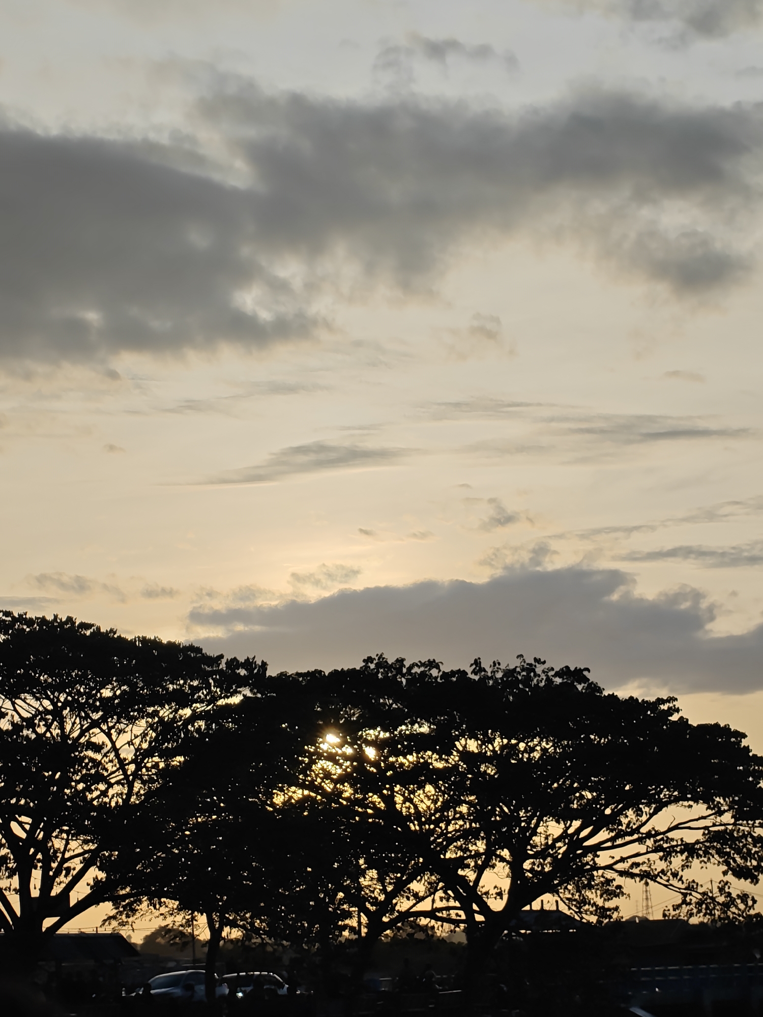 The image depicts a twilight scene in Lhokseumawe, Indonesia. The sky is predominantly filled with gray clouds interspersed with patches of pale yellow, suggesting either sunrise or sunset. The lower part of the image is dominated by the dark silhouettes of large trees, their branches reaching towards the sky. Gaps in the foliage allow glimpses of the setting sun. The ground below the trees is obscured, but outlines of parked vehicles and a possible building can be discerned, indicating an urban or suburban location.
