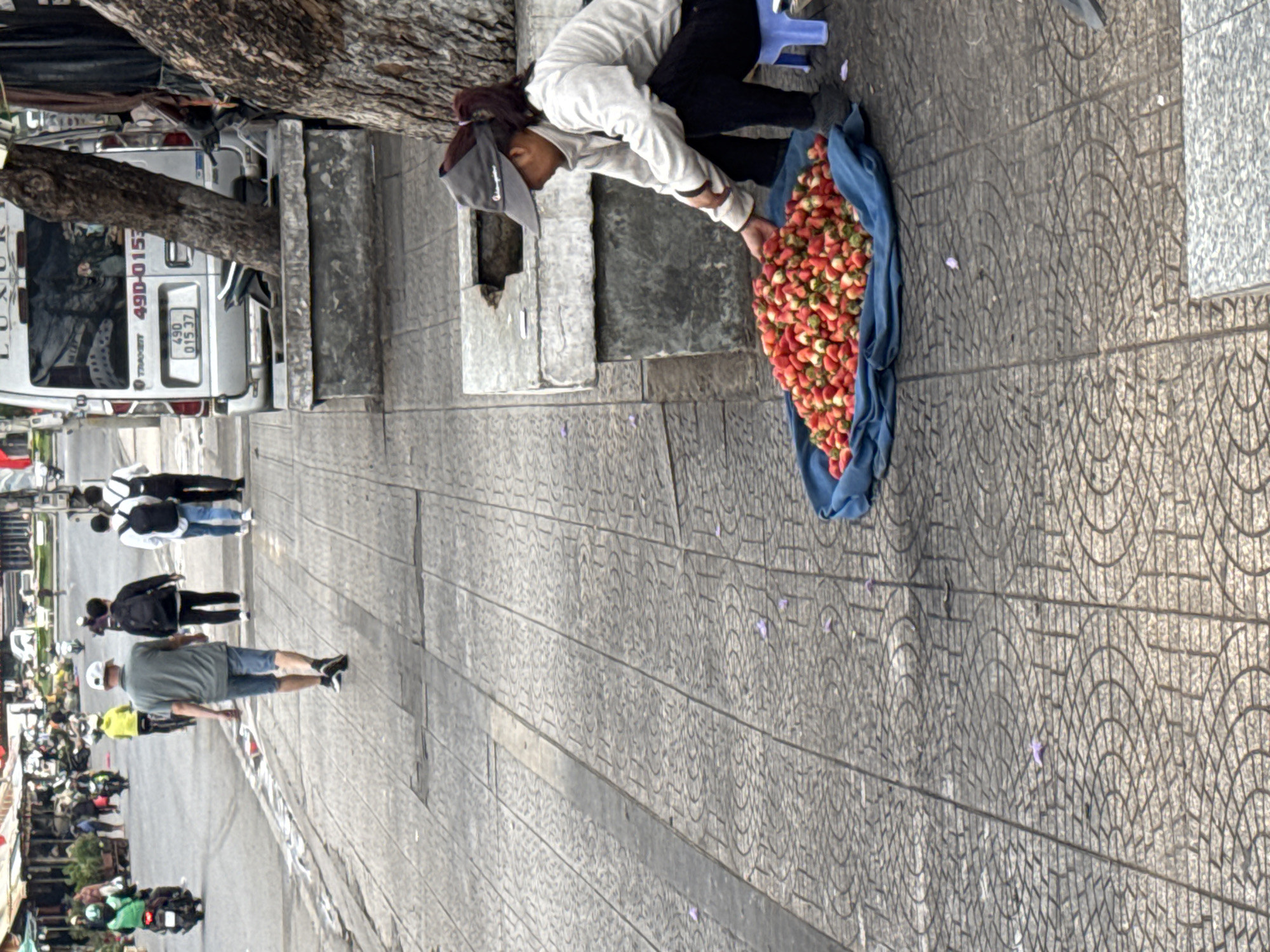 An eye-level, medium, and outdoor shot displays a street scene in Da Lat, Vietnam. A woman is perched on a short blue plastic stool, leaning over a pile of red and white strawberries displayed in a blue fabric container on the sidewalk. The woman is wearing black pants, a white jacket, and a grey cap. A tree is positioned behind her, and a white passenger van is visible behind the tree. People are walking on the sidewalk in the distance, and motorbikes and pedestrians are seen in the street. The sidewalk is tiled with a patterned grey stone. Petals from jacaranda flowers are lying on the sidewalk.