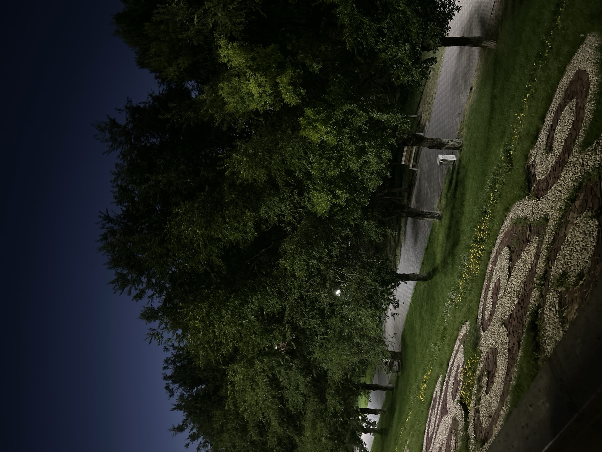 The image depicts a park at dusk, likely in Taraz city administration, Kazakhstan. A pathway paved with light-colored stones winds through a grassy area bordered by a line of mature trees with dense green foliage. Small yellow flowers are scattered throughout the grass. In the foreground, a decorative pattern is formed by stones and dark material, suggesting a manicured garden bed. A park bench and a trash receptacle are visible along the pathway. The sky is a deep, dark blue, indicating twilight. The overall scene is serene and illuminated by artificial lighting, though no direct light sources are prominently visible.