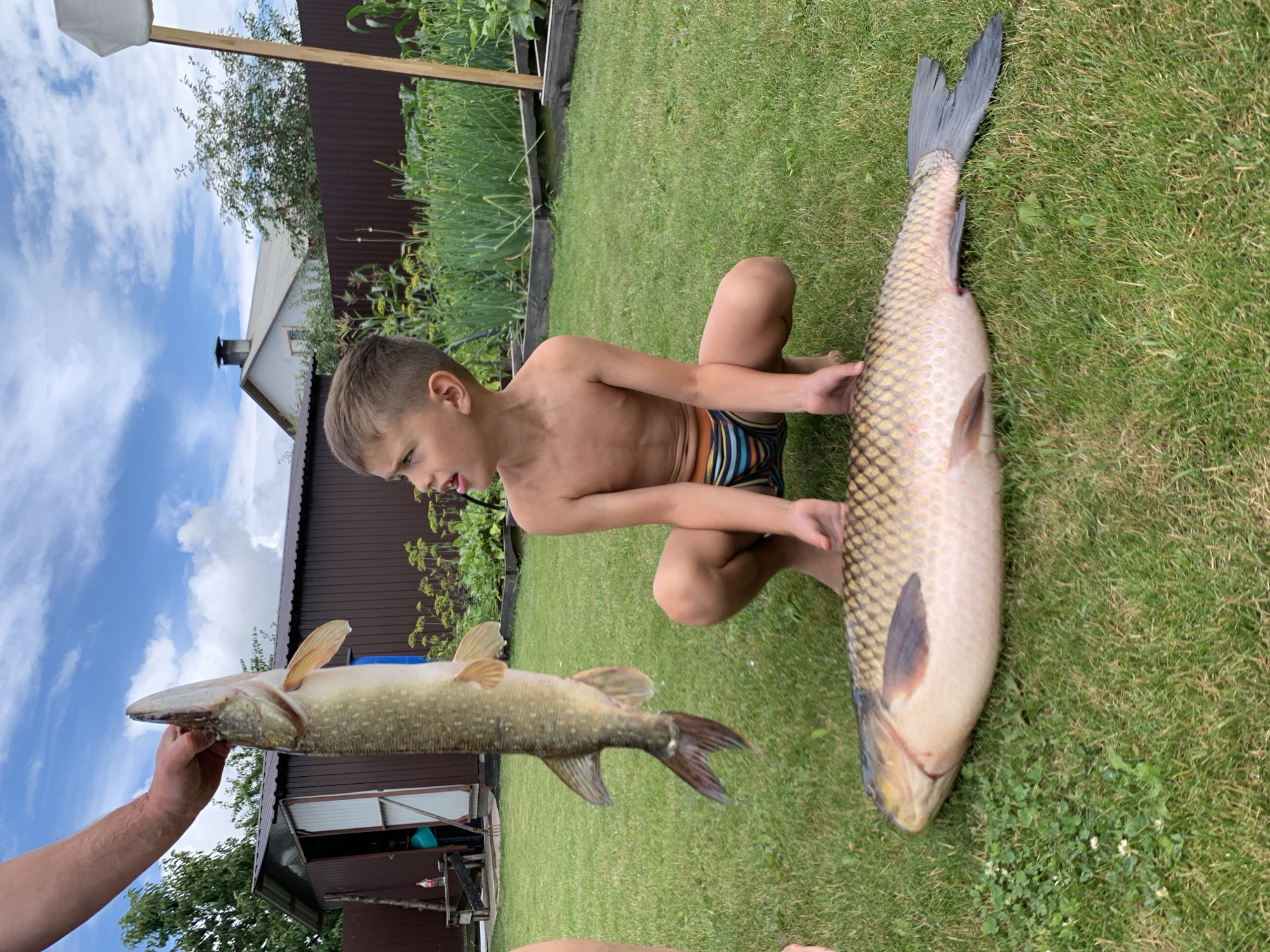 The image shows two large fish, a pike and a carp, lying on a green grassy lawn in a backyard. A young boy, shirtless and wearing striped swim trunks, is sitting on the grass between the two fish. His left arm is extended, and he is looking down at the fish. The pike is held up by an unseen person's hand on the left side of the frame. The carp is on the right side of the frame, and part of another hand is visible near its tail.
In the background, a brown wooden fence and a house with a white roof and brown siding are visible. There are also some green plants and trees. The sky is blue with some white clouds. The lighting suggests it is daytime, likely late morning or afternoon, given the shadows. The overall scene conveys a sense of accomplishment and enjoyment, likely after a fishing trip. There is no visible text in the image. The location is Homyel, Belarus.