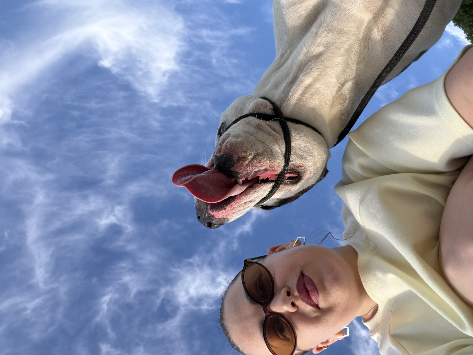 A woman wearing sunglasses and a light yellow sweatshirt looks up at the camera with a dog leaning in towards her face. The dog has its mouth open and its tongue sticking out. The background is a blue sky with white, wispy clouds. The location is Dederkoy, Russia.