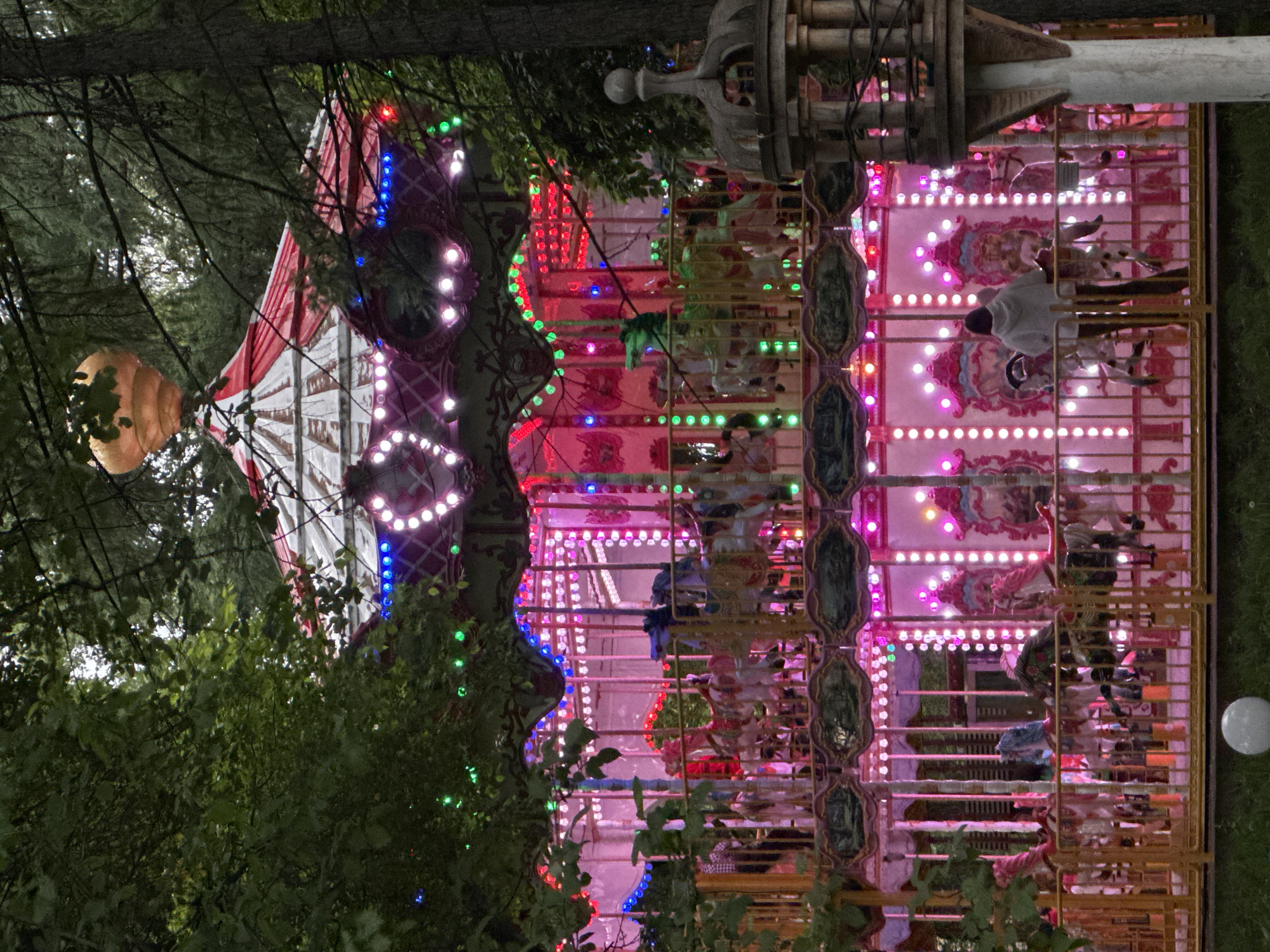 The image shows a carousel, likely taken at night due to the bright, festive lighting, situated amongst trees. The carousel is illuminated with pink and white lights, and decorative patterns. A red and white striped tent-like structure tops part of the carousel, also adorned with lights. Riders are partially visible on the carousel, including one wearing a white shirt. The shot seems to be taken through foliage. This is the carousel on Perm's embankment in Russia.