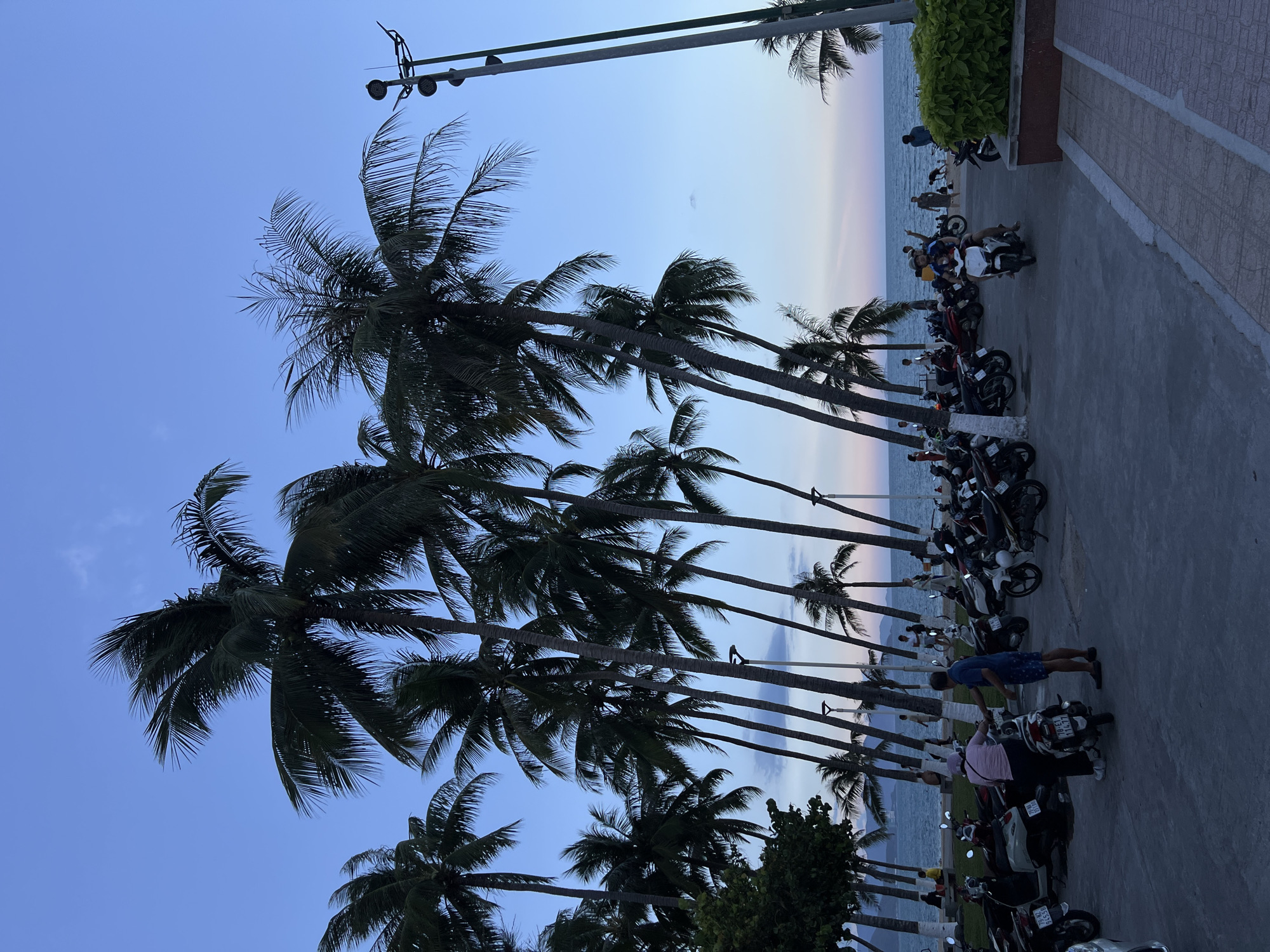 The image shows a row of palm trees along a coastal area in Nha Trang Ward, Vietnam. The trees are silhouetted against a light blue sky with a hint of orange at the horizon where the sky meets the sea. Parallel to the palm trees is a paved area with parked motorcycles. Some people are standing and interacting near the motorcycles. In the background, the sea is visible. A light pole is present at the top left of the image. A concrete structure with greenery sits at the right edge of the paved area. The image is rotated 90 degrees counter-clockwise.