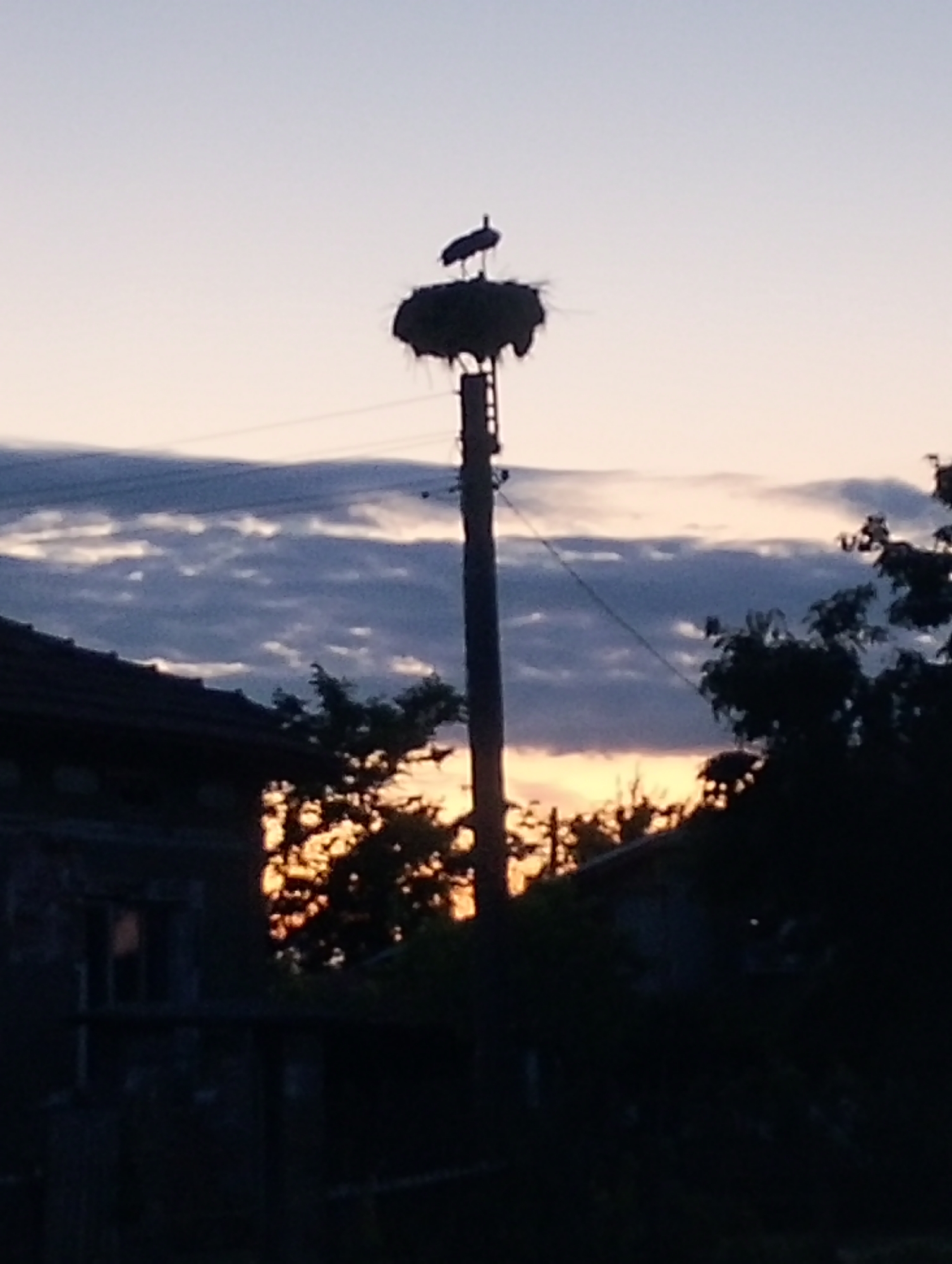 A silhouette of a stork perched on a nest atop a wooden pole is visible against a gradient sky. The sky transitions from pale blue at the top to a soft orange glow near the horizon. Dark clouds streak across the mid-section of the sky. In the foreground, silhouetted against the sunset, are the dark shapes of trees and buildings. The left side of the image shows the dark outline of a building with a visible window. The right side shows more trees and the hint of another building. Power lines are visible stretching across the scene.