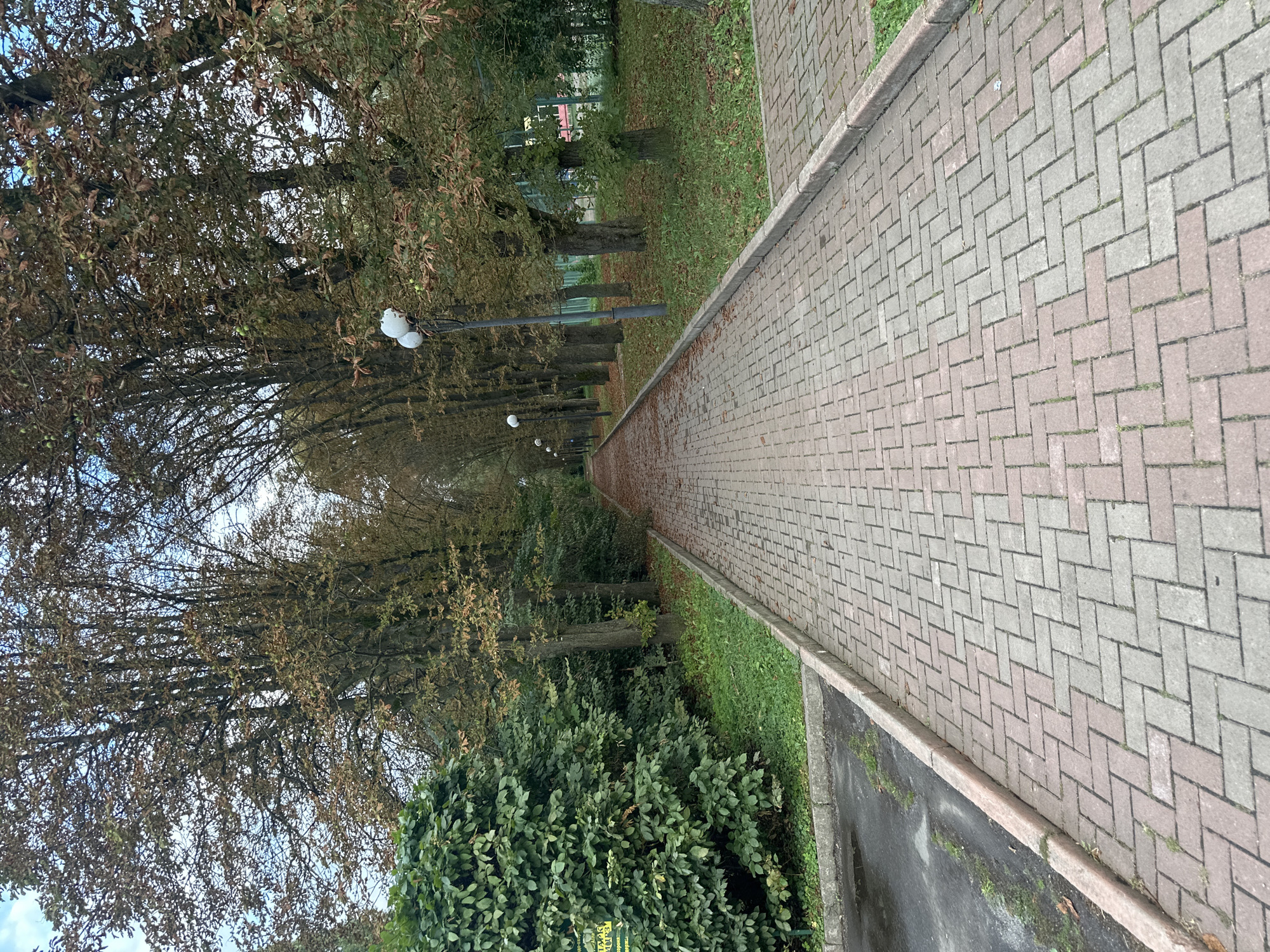 The image shows a paved walkway lined with trees on both sides. The walkway is made of rectangular pavers arranged in a herringbone pattern. Fallen leaves are scattered on the walkway, suggesting it is autumn. There are lampposts along the right side of the walkway. On the left side, there is a dense hedge and a paved area with some puddles. The trees have predominantly brown and green leaves, with some bare branches visible. In the distance, the walkway recedes into the background, lined by more trees. The overall scene depicts a park or a tree-lined avenue in a city. There are no people visible in the image. This location is in the city of Khmilnyk, Ukraine.