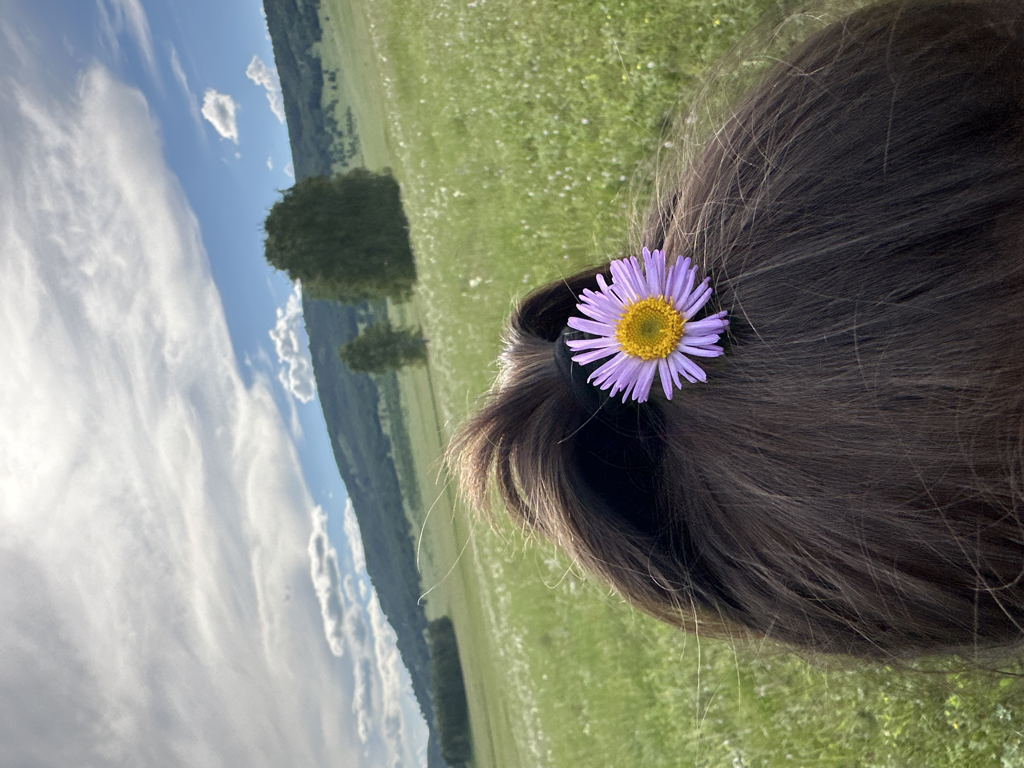 The media file displays a close-up view of the back of a person's head, adorned with a single purple flower tucked into their dark hair. The flower has thin, delicate purple petals radiating from a bright yellow center. The person's hair is dark brown and appears to be styled in a ponytail or bun, with a few strands loose around the edges.
The background is a vibrant green meadow, dotted with tiny white wildflowers. Beyond the meadow, a line of dark green trees forms a border against a sloping hillside. The sky above is a clear blue, streaked with wispy white clouds. The overall impression is of a serene outdoor setting, likely a meadow or field, under a bright sky.
The image is taken from a slightly elevated angle, looking down and to the side. The lighting suggests it is daytime, possibly late afternoon given the soft light. There are no visible signs of specific activity or event, but the presence of the flower in the hair and the peaceful natural setting evoke a sense of tranquility and connection with nature. There is no visible text in the media file.