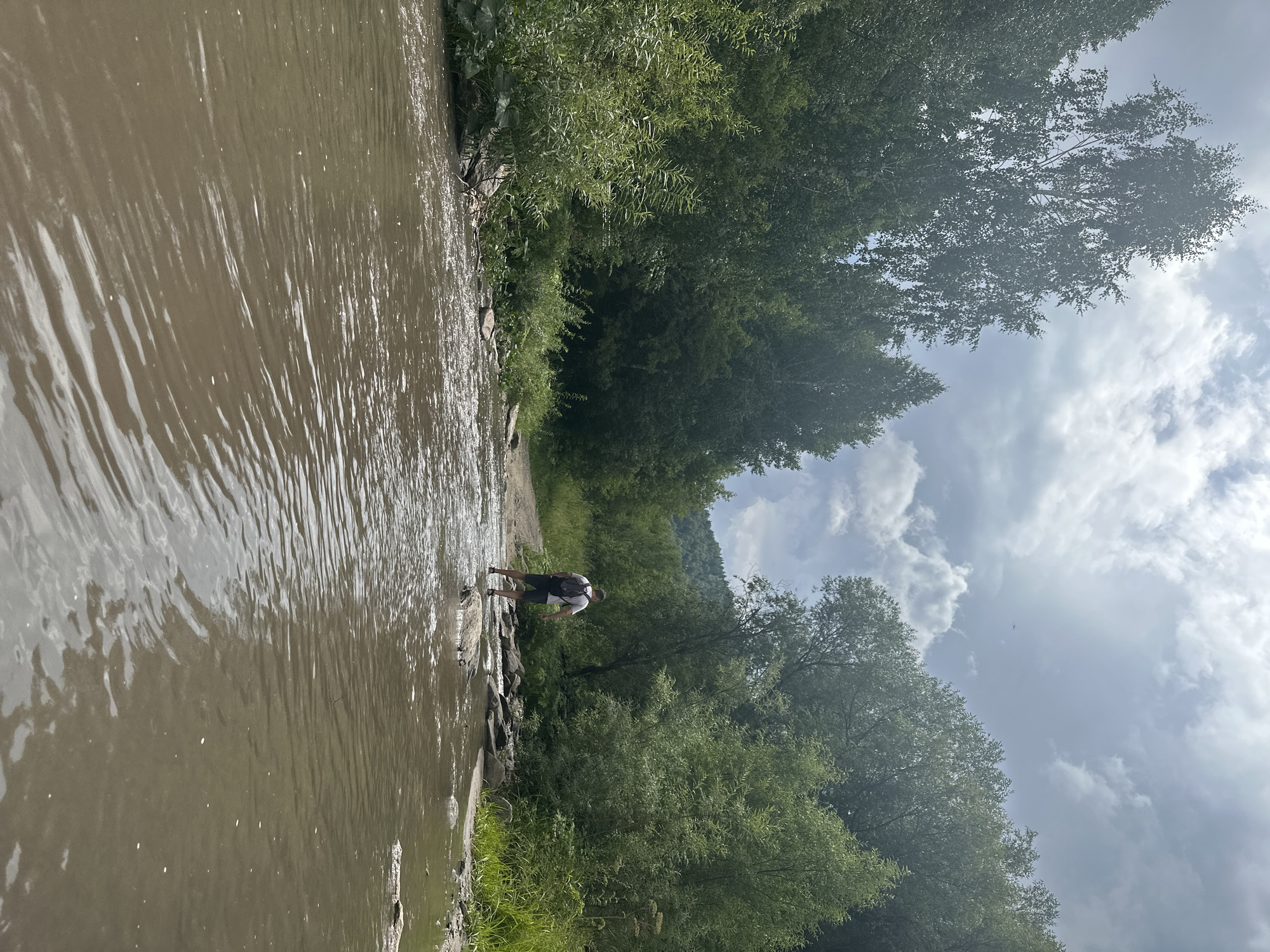 A lone individual wearing a white t-shirt and dark shorts, carrying a backpack, walks through a shallow, muddy river. The person is facing away from the camera, heading towards a dirt path on the far bank. The river is surrounded by dense green foliage, with tall trees forming a canopy overhead. The sky is partly cloudy, with dramatic grey clouds contrasting with patches of blue. The scene depicts a natural, undeveloped environment, likely a rural or wilderness area, consistent with the outskirts of a settlement like Danilovka in the Altai region of Russia. The water is calm, with gentle ripples reflecting the sky and surrounding vegetation. The ground on either side of the river consists of dirt and scattered rocks.