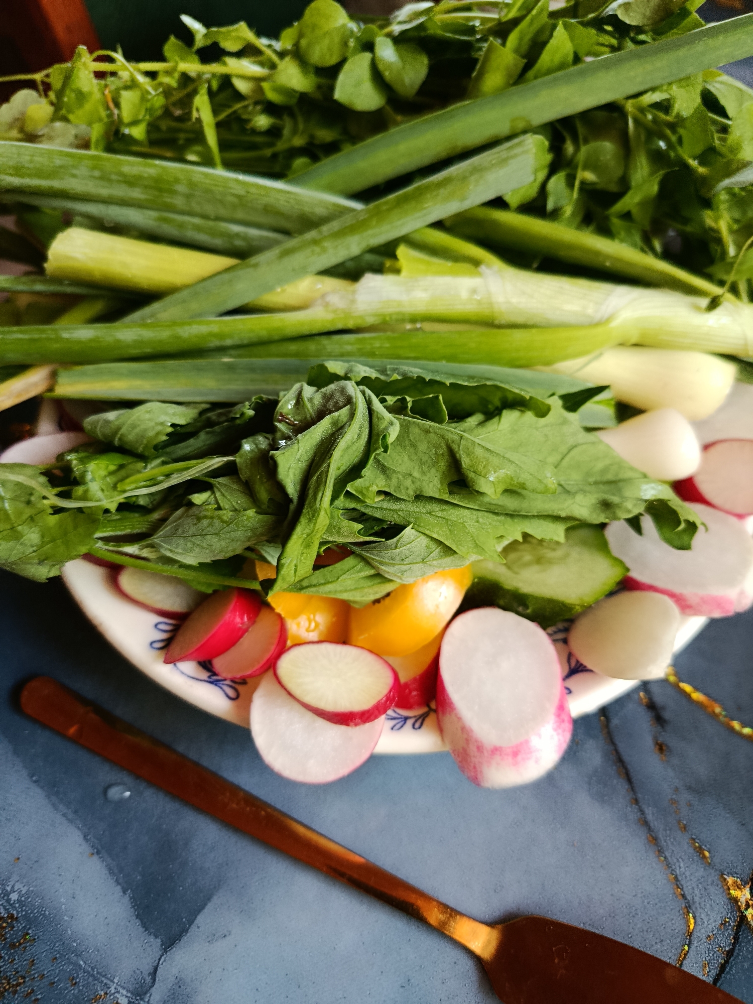 A close-up, high-angle shot captures a vibrant assortment of freshly prepared vegetables arranged on a white plate with blue decorative patterns. The scene suggests a meal preparation or serving, focusing on healthy, crisp ingredients.
Dominating the upper portion of the image are several long, bright green stalks of green onions or scallions, appearing freshly washed with some water droplets visible. Behind and interspersed with the scallions are bunches of smaller, delicate green leaves, possibly watercress or similar fine-leafed herbs.
Below the scallions, on the plate, a generous pile of larger, darker green leafy vegetables, resembling spinach or possibly a type of lettuce, forms a central mound. Surrounding these greens are thinly sliced red and white radishes, cut into rounds and half-moons, showcasing their crisp texture. Interspersed with the radishes are slices of green cucumber and small, vibrant yellow pieces, which could be bell pepper or small tomatoes. A few white, bulbous items, possibly garlic cloves or small pickled onions, are also visible among the scattered vegetables.
A copper or bronze-colored knife or spreader lies partially visible on the bottom left, resting on a striking blue-grey surface that features abstract gold and black streaks, resembling a marble or resin tabletop. This surface appears to have a few small water droplets, reinforcing the fresh, washed appearance of the vegetables. The lighting is bright and even, highlighting the natural colors and textures of the produce. No people or visible text are present in the image.