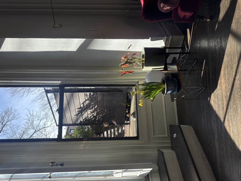 This image depicts an interior residential space in the city of New York, United States of America, viewed from within, looking out through a large window onto an exterior patio area on a sunny day.
The interior foreground features dark hardwood flooring with strong sunlight casting distinct shadows. To the left, a dark wooden staircase with white risers is visible, with a small crumpled white object resting on the second step. A black, geometric metal coffee table in the center holds a blue ceramic pot containing yellow daffodils and a white spherical table lamp. To the right, an olive-green planter on a black stand contains a plant with reddish-green foliage. A portion of a dark red velvet armchair with a visible brass castor wheel and a pinkish cushion is present on the far right. The interior walls are light-colored and feature architectural molding.
Through the large, black-framed window, a wooden deck or patio is visible. A single individual, appearing to be an adult female dressed in dark clothing, is partially visible from the chest up through the lower window pane, standing on the deck in profile, looking left. A small golden bird figurine stands upright on the deck. Behind the deck, a horizontal wooden fence or wall is present, displaying distinct shadows of bare tree branches. Green foliage is visible to the left of the fence. Above the fence, numerous bare tree branches are silhouetted against a clear blue sky, with a distant brick building faintly visible in the upper left background.