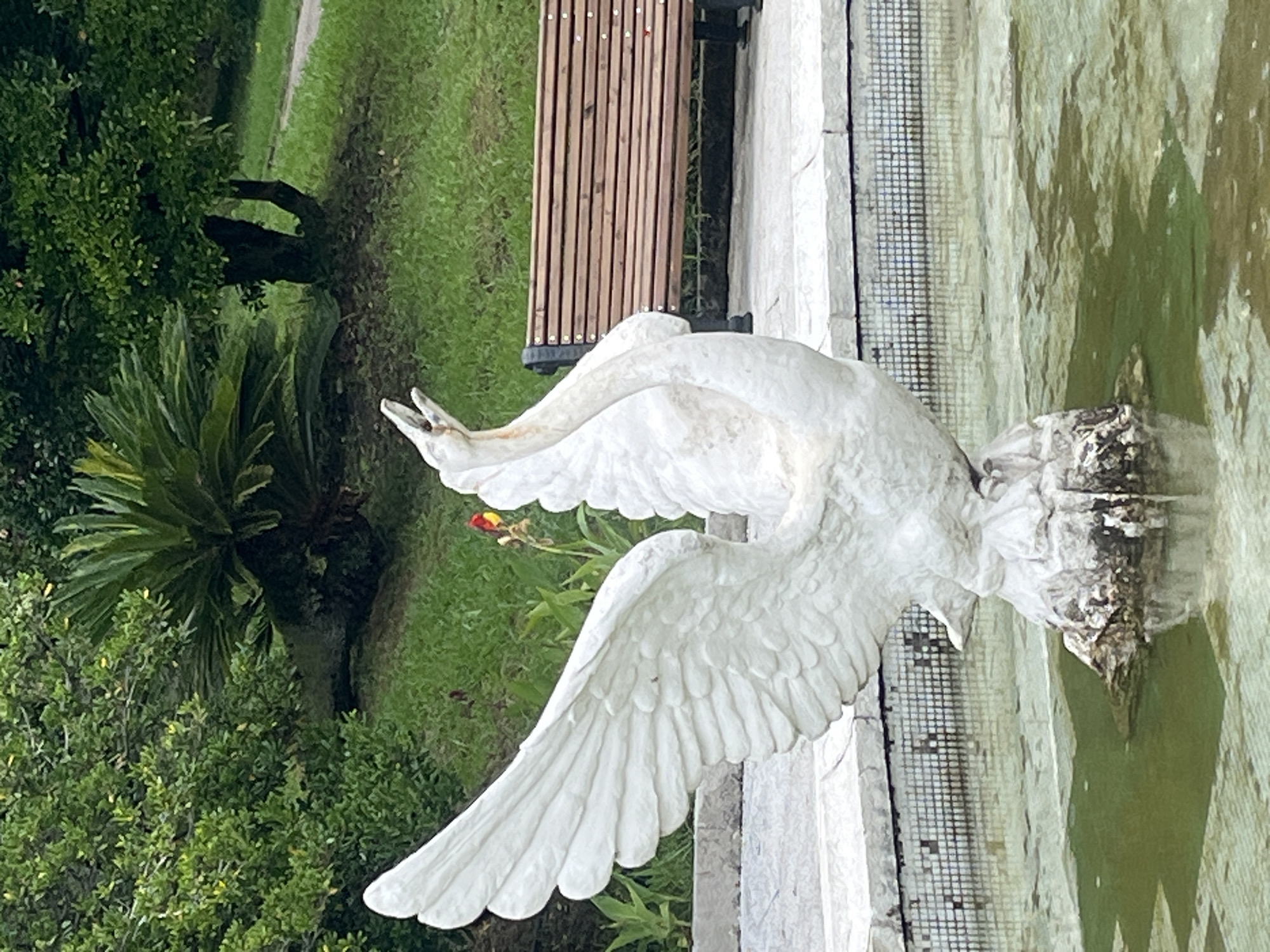 A white stone swan statue with its wings outstretched and beak open is situated in a shallow fountain filled with greenish water. The fountain is bordered by light-colored stonework and a tiled edge. Behind the fountain, a wooden park bench with dark metal legs sits on a paved area. Lush green trees and bushes form the background, with a large palm-like plant to the left and a smaller tree to the right. A pathway is visible to the right, winding through the grass. A single red and yellow flower blooms near the swan statue. The scene is an outdoor park setting in Sochi, Russia, likely in one of its many public gardens or recreational areas.