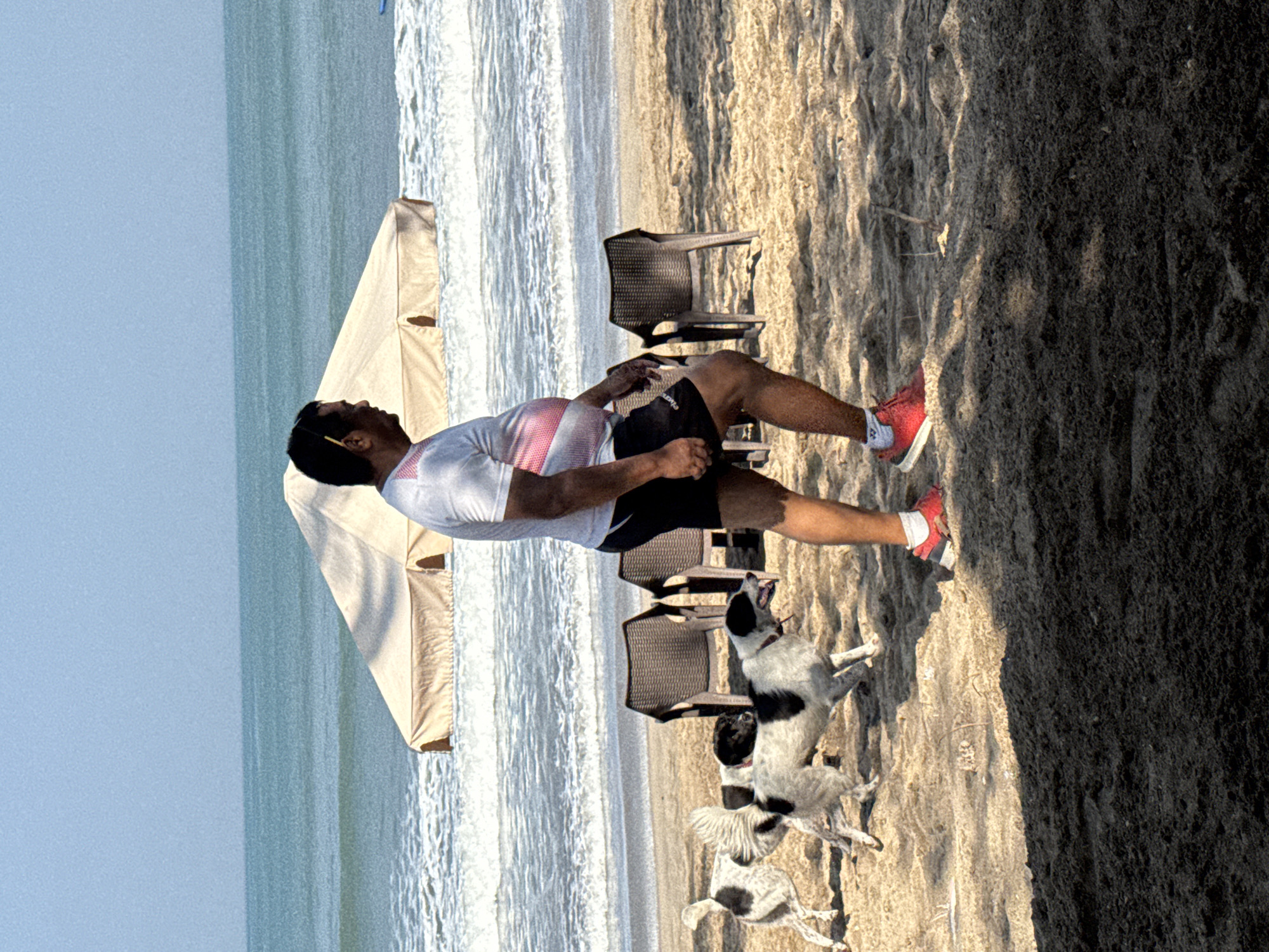 In Kuta, Indonesia, a medium-sized man in a white t-shirt with pink stripes and black shorts walks on a sandy beach near the ocean. He is wearing red athletic shoes and white socks. Three dogs, one black and white and two black and white with spots, are running in front of him on the sand. In the background, two empty chairs are set up on the beach, facing the water. A large, light-colored umbrella shades an area behind the chairs. The ocean has waves, and the sky is clear blue. The lighting suggests it is daytime, with shadows cast on the sand.