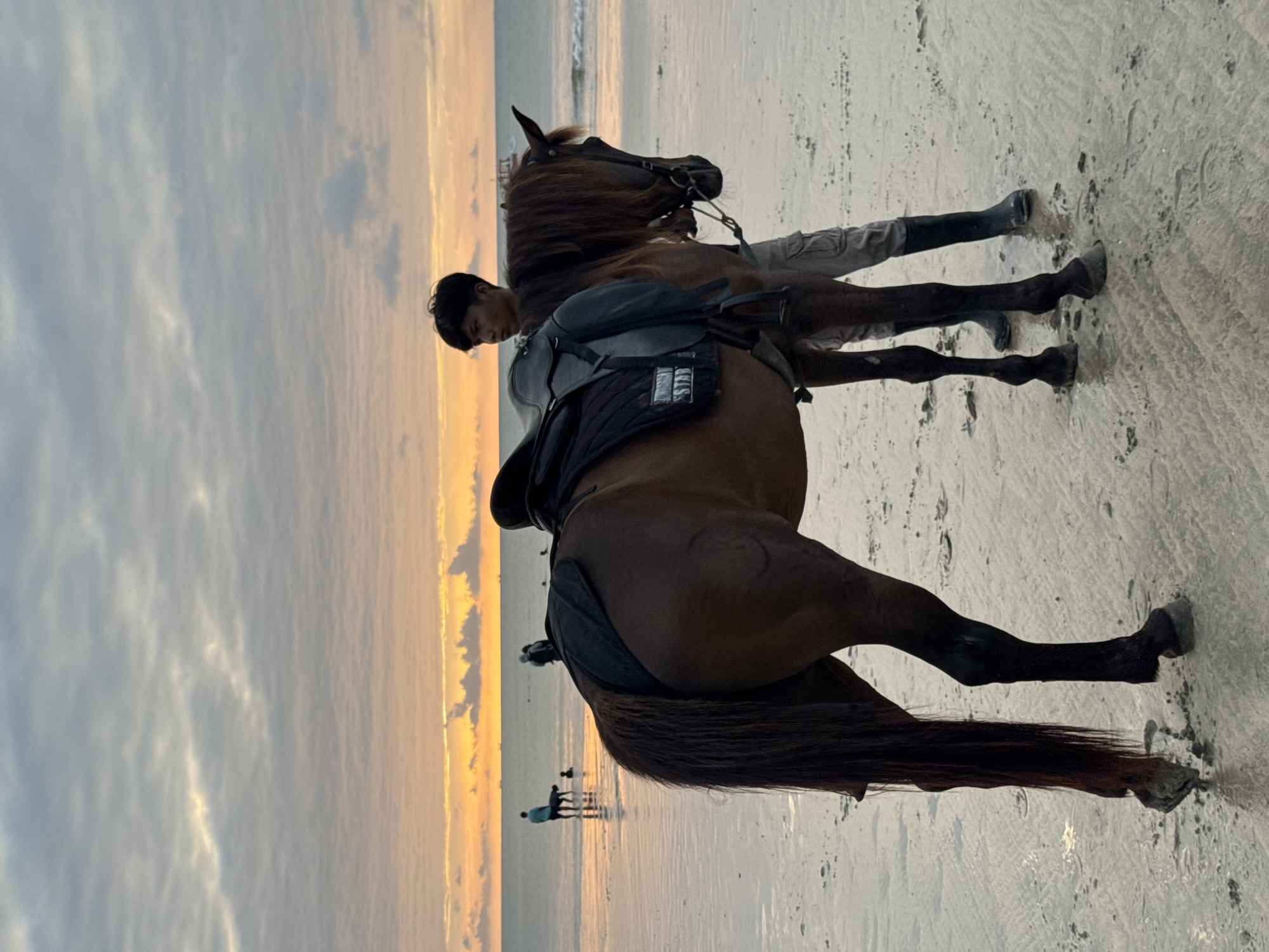 A young man stands beside a saddled brown horse on a beach in Kuta Selatan, Indonesia, during a sunset. The horse is positioned facing away from the viewer, with its tail to the left. The man, wearing light-colored pants and dark boots, is on the right side of the horse, his body partially obscured. In the background, the ocean stretches to the horizon, with a few boats visible. Several people and a dog are in the shallow water, some wading and others walking. The sky is filled with clouds, illuminated by the warm glow of the setting sun, casting an orange and yellow hue over the scene. The wet sand reflects the light, creating a shimmering effect on the beach.