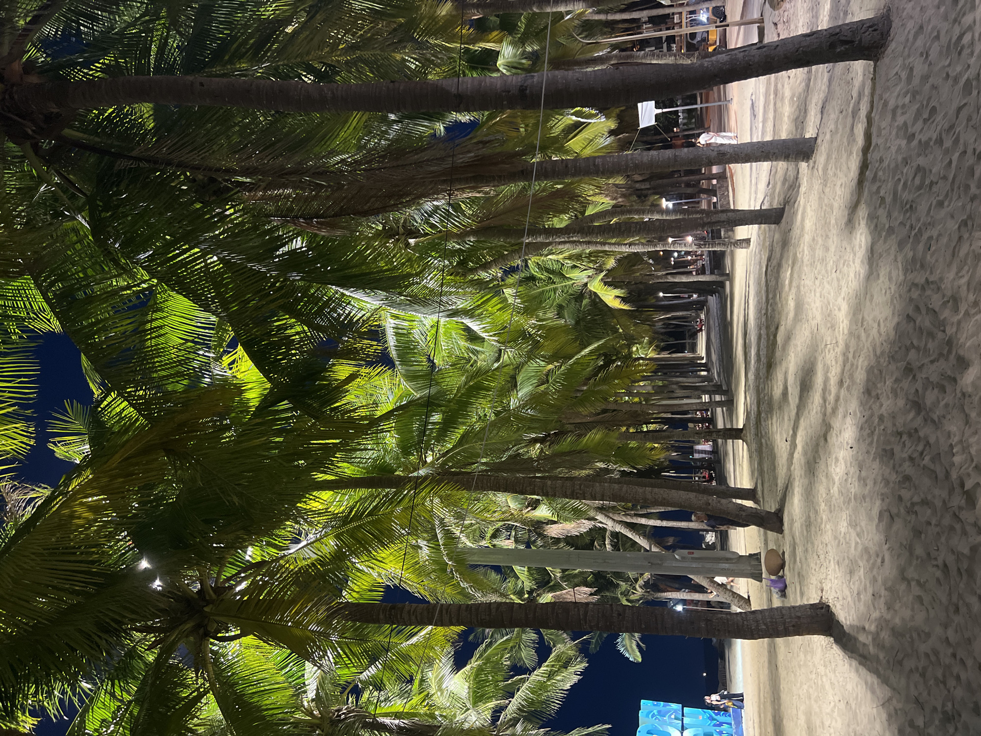 The image depicts a palm-lined walkway on a sandy beach at night, likely in Hoi An, Vietnam, given the tropical vegetation and beachfront setting. The palm trees are illuminated by overhead lights, casting long shadows onto the sand. Several people are visible in the scene. In the mid-ground left, two individuals stand near a brightly lit blue structure. Further down the walkway, a person is seen standing near a large, round, brown object on the sand. In the distance, more people and vehicles are present, suggesting a lively atmosphere. The sky is dark blue, indicating nighttime. The sand appears soft and well-trodden.