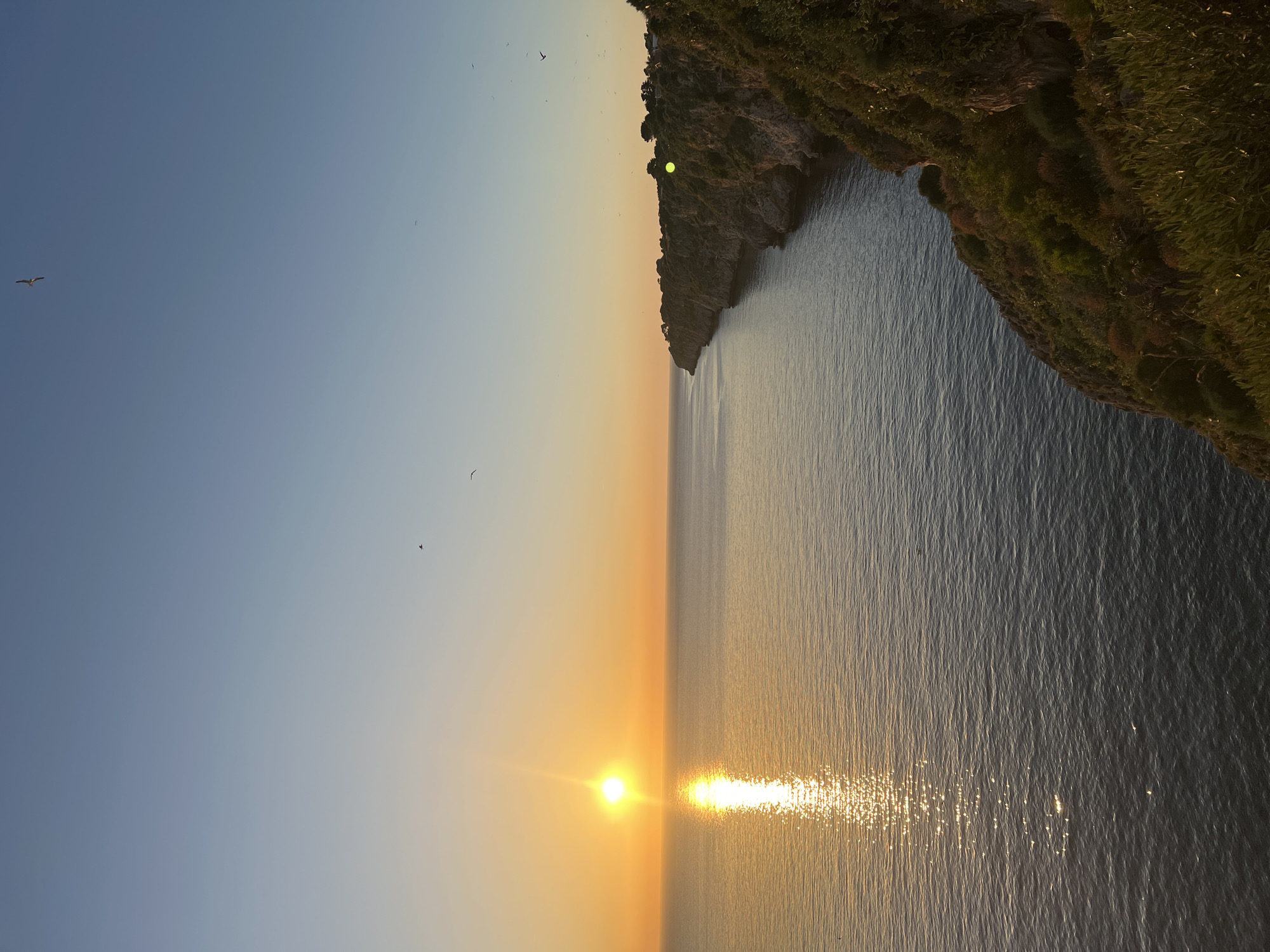 This is an eye-level, vertical, medium shot of a coastal cliffside in Terrasini, Italy, during sunset. The sun, a bright orange orb, is positioned in the left portion of the frame, casting a shimmering, golden reflection across the calm, blue ocean. The cliff, covered in lush green foliage and rocky outcrops, curves along the right side of the image, receding into the distance. Several birds are visible in the sky, adding a dynamic element to the serene landscape. The sky transitions from a pale yellow near the horizon to a clear, light blue at the top of the frame. The overall impression is one of natural beauty and tranquility.