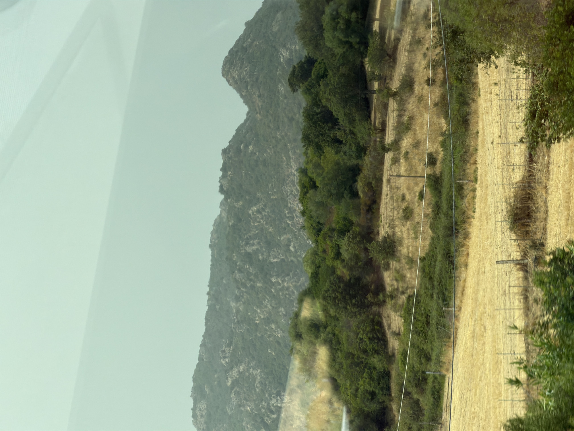 The image captures a rural landscape with rolling hills covered in sparse vegetation and trees. In the foreground, a harvested field of dry, golden straw is visible, bordered by a low wire fence. Further back, a dense cluster of green trees and shrubs covers a hillside, with a winding dirt road or track visible through the foliage. In the background, a large, rugged mountain range dominates the horizon, its slopes sparsely covered with scrub and rocks. The sky is overcast and a pale, hazy blue. The overall scene suggests a dry, Mediterranean climate, likely during late summer or early autumn. The image is a photograph taken from a moving vehicle, indicated by the slight blur and the reflection of an interior surface in the top portion of the frame. The specific location in Olbia, Italy, is not identifiable from the visual elements alone.