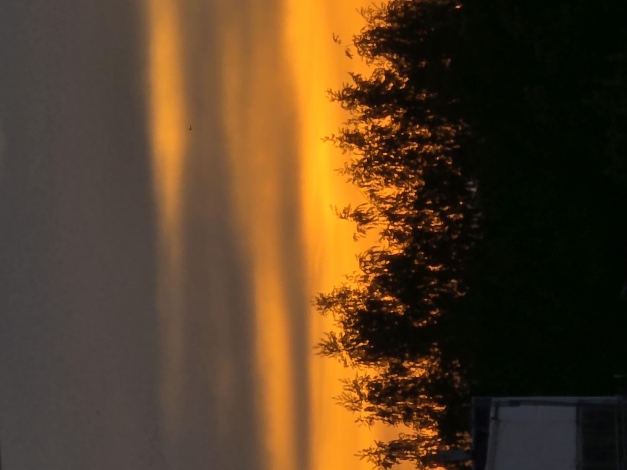 The image captures a scene in Chaikovsky, Russia, at what appears to be sunset or sunrise. A wall, pale gray in color, occupies the left portion of the frame. A bright orange light illuminates the right side of the wall and also shines on the edge of a tree or bush, making the leaves appear dark and backlit. A small object, possibly a bird, is visible in the sky. In the lower right corner, a white rectangular object is partially visible.