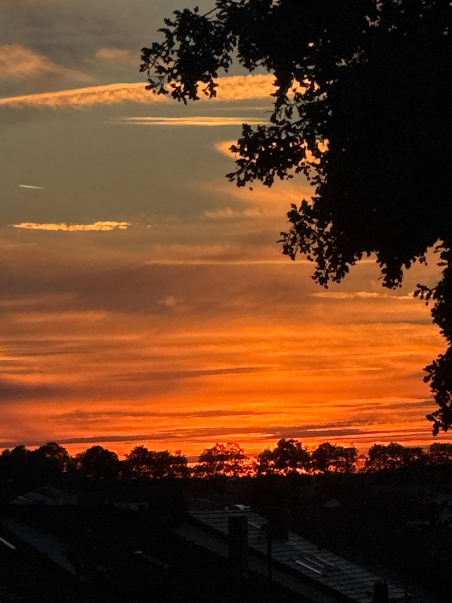 The image captures a vibrant sunset over the town of Wettstetten, Germany. Silhouetted against the fiery orange and pink sky are the dark shapes of trees and rooftops. The sky is filled with horizontal bands of color, ranging from a soft orange near the horizon to a pale yellow and grey higher up. Wispy clouds are scattered across the sky, catching the light and adding texture. In the foreground, the dark silhouettes of tree branches and leaves frame the upper right corner of the scene. Below the sky, the dark outlines of a treeline and the rooftops of houses suggest a suburban or semi-rural setting within Wettstetten. The overall impression is one of a peaceful, picturesque evening.