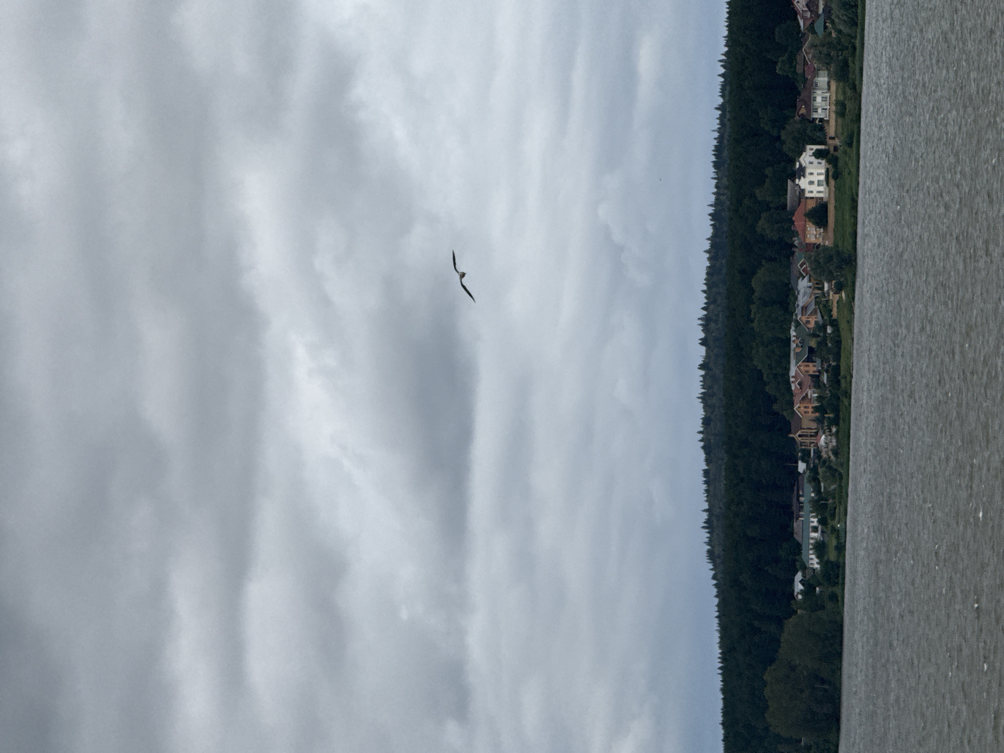 A bird is captured mid-flight against a cloudy sky. The bird is dark with its wings spread wide, appearing to glide. The scene is a landscape featuring a body of water on the right, its surface rippled and grey, suggesting a calm but overcast day. To the left of the water, a dense line of dark green trees forms a forest that stretches across the image. Nestled within or just beyond the tree line are several houses, painted in various colors including white, red, and yellow, with some exhibiting pitched roofs. These houses suggest a residential area bordering the natural landscape. The sky is filled with soft, grey clouds, indicating it might be daytime with diffused sunlight. The overall mood is serene and slightly melancholic due to the overcast weather. No text is visible in the image. This scene appears to be in Votkinsk, Russia, a location known for its natural beauty and proximity to water bodies.
