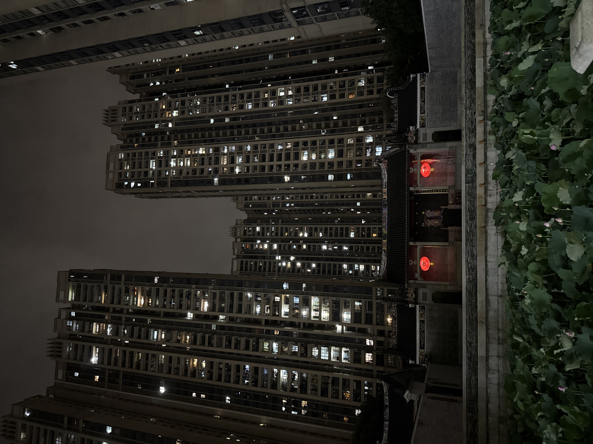 The image captures a nighttime scene in Haizhu District, China. Towering apartment buildings dominate the backdrop, their numerous windows glowing with light, indicating occupancy. To the right, traditional Chinese architecture is visible, marked by intricate roof designs and red lanterns. A stone pathway runs alongside a garden, filled with large, leafy plants. The sky is dark, suggesting a late hour. There are no people visible.