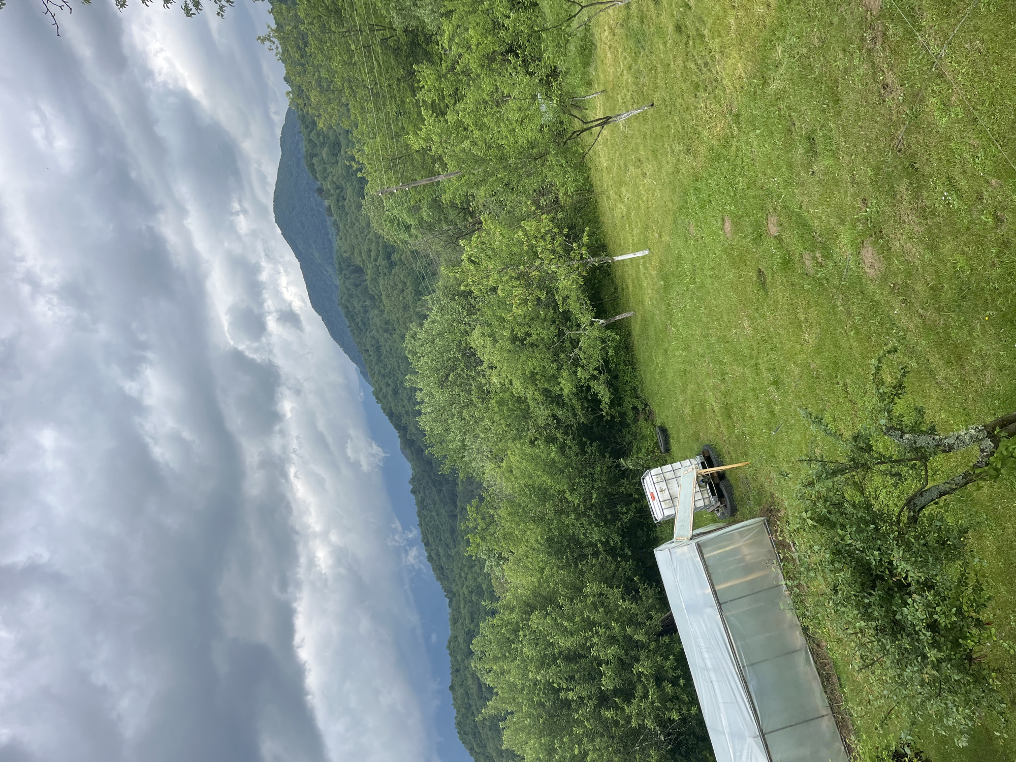 The image shows a landscape in Shopite, Bulgaria. A mountain range covered in dense green forest rises in the background under a cloudy, overcast sky. In the foreground, there is a field of green grass. A large, white water tank mounted on a trailer sits near the edge of the field. Next to the trailer is a greenhouse with a white cover. A tree is partially visible in the lower right corner. Overhead power lines stretch across the midground.