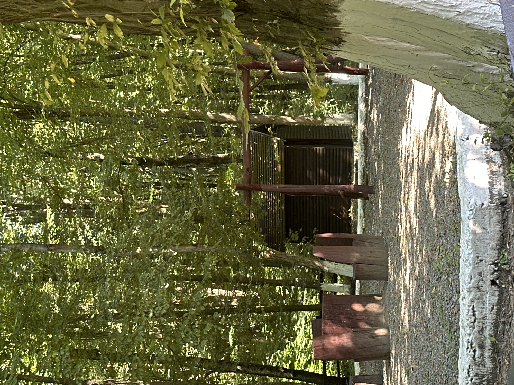 The image depicts an outdoor scene in the city of Shatava, Ukraine. In the foreground, there is a rough, white stone border, possibly a planter or seating area, with small green shoots growing from it. Beyond the stone, the ground is covered in small grey gravel. Scattered across the gravel are several wooden structures, appearing to be benches or seating arrangements, carved from thick tree trunks or logs. Some of these wooden elements are a deep reddish-brown color.
Further into the background, there is a small, dark wooden building with a sloped, shingled roof. It is situated amidst a dense forest of deciduous trees with lush green foliage. The sunlight filters through the leaves, creating dappled shadows on the ground. A wooden frame structure, possibly a swing set or decorative arch, made of reddish-brown wood, is positioned in front of the building. Several tree trunks in the scene have their lower portions painted white. The overall environment suggests a rustic, natural setting, possibly a park or recreational area within the forest. There are no people visible in the image.
