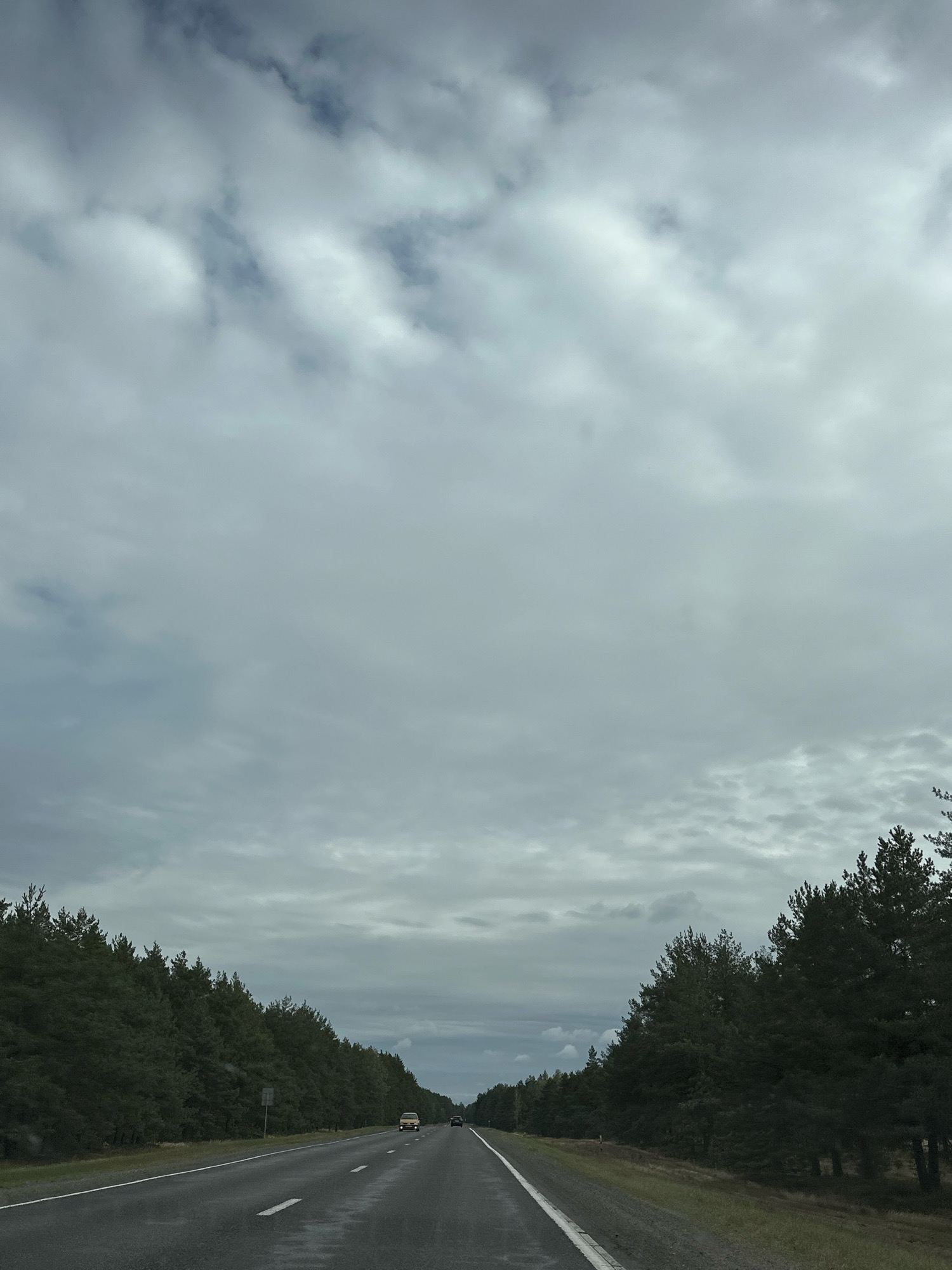 An overcast sky with scattered clouds hangs above a two-lane highway in Краснаўскі сельскі Савет, Belarus. The road is wet and reflective, suggesting recent rain. Dense pine trees line both sides of the highway, creating a tunnel-like effect. A light-colored van and a dark sedan are visible on the road in the distance, traveling in the same direction. The overall mood of the image is somber and slightly melancholic, due to the cloudy weather and the dense, dark foliage.