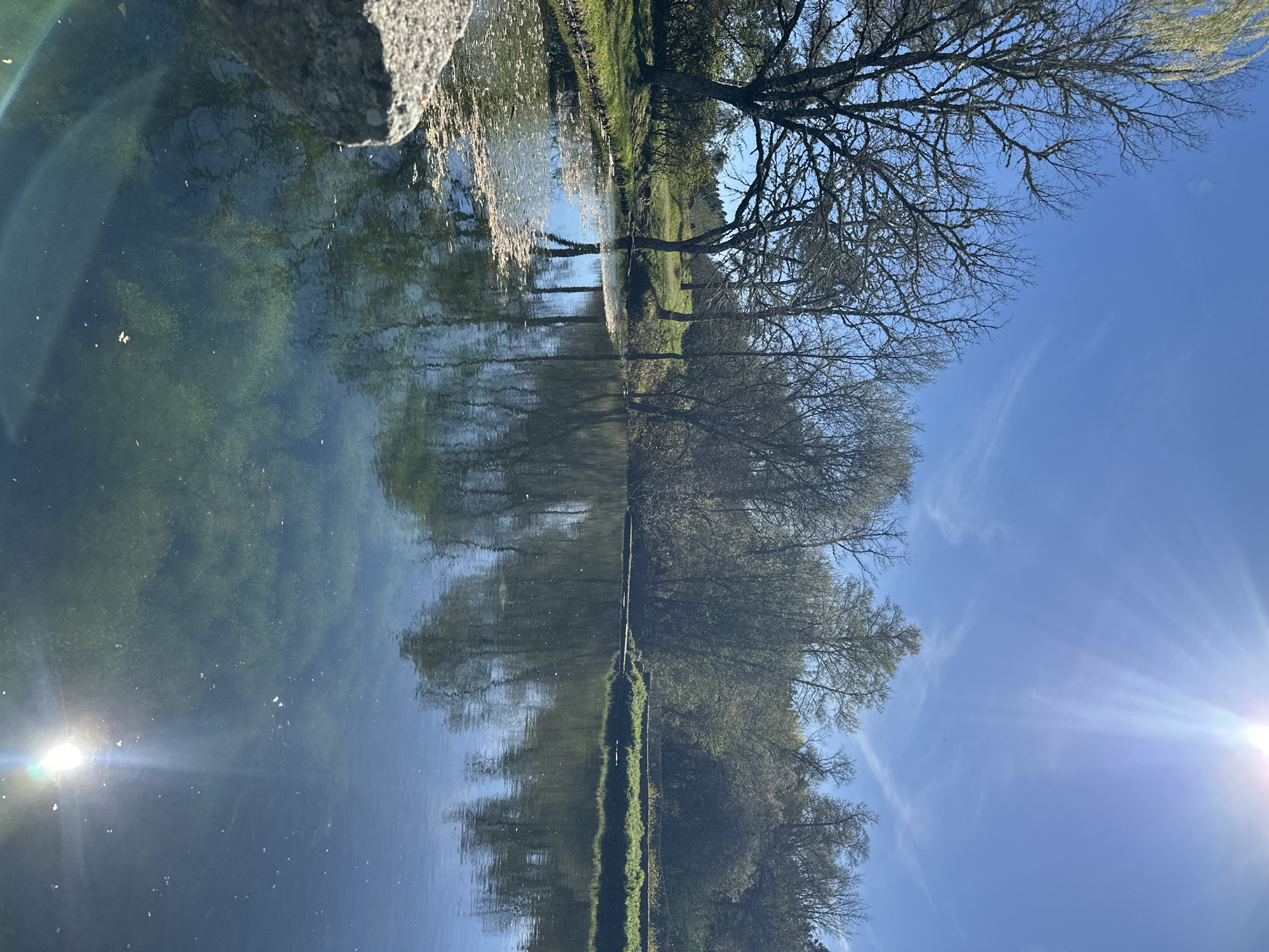 This image depicts a natural outdoor scene in Vila Real, Portugal, under bright, sunny conditions. A clear blue sky occupies the upper portion, featuring a prominent sun in the upper right, casting visible rays and strong glare on the water's surface, particularly in the lower right. A calm body of water, likely a pond or small lake, dominates the midground, its surface reflecting the sky and surrounding vegetation. Submerged aquatic vegetation is visible through the transparent water. Floating organic debris, including leaves and pollen, is scattered on the water, especially along the left bank. The banks are grassy and lined with deciduous trees, some appearing bare, others with nascent green leaves. A grey, rough-hewn stone object is partially visible in the lower left foreground, suggesting a vantage point from the water's edge. No human presence or animals are observed.