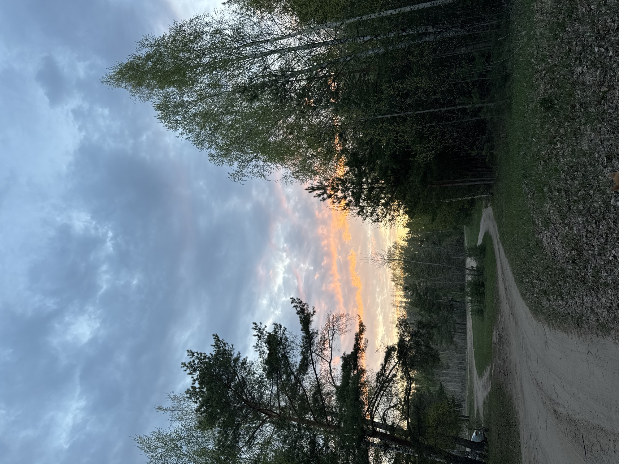 The image depicts a dirt road in a wooded area. The road curves slightly to the right. Trees line both sides of the road. The sky is visible above the trees, showing clouds and the glow of the sunset. The location is Noviy, Russia.