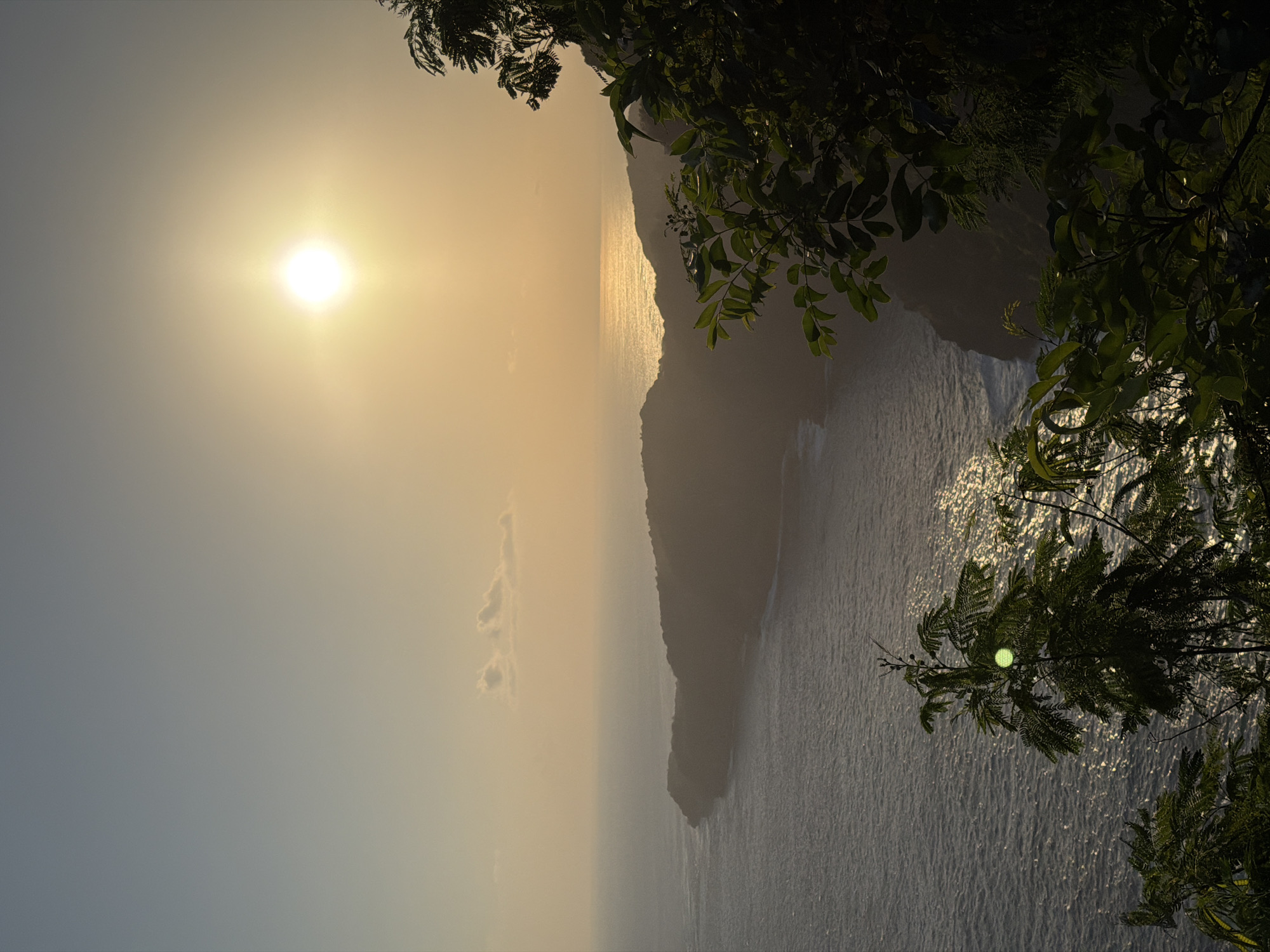 The image captures a scenic view of the ocean and coastline in Nusa Penida, Indonesia, during what appears to be sunset. The sun, a bright orb, hangs in the sky, casting a warm, golden glow across the scene. The ocean stretches out to the horizon, with gentle waves lapping against the shore. A lush, green coastline with rolling hills dominates the middle ground, silhouetted against the radiant sky. In the foreground, the branches of lush green trees frame the view, adding depth and texture to the composition. The overall atmosphere is serene and tranquil, evoking a sense of natural beauty and peacefulness.