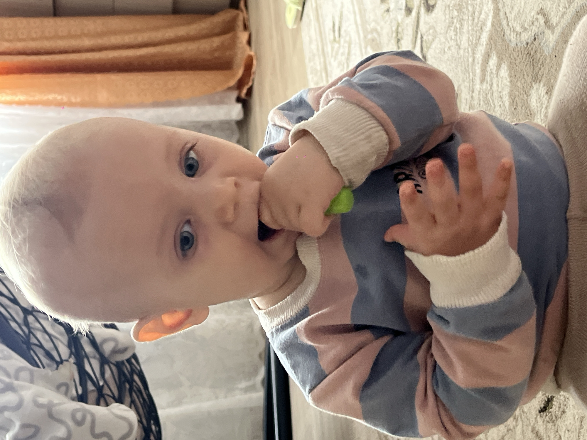 A close-up shot shows a baby indoors. The baby is wearing a pink and blue striped long-sleeved shirt with white cuffs and is holding a small green object in their mouth. Their right hand is raised, fingers outstretched. The baby has light blonde hair and blue eyes.
Behind the baby are sections of a white curtain with an orange overlay and a black metal frame chair with a patterned cushion. The flooring appears to be carpeted. The location of Novopokrovskaya, Russia, cannot be confirmed from this image.