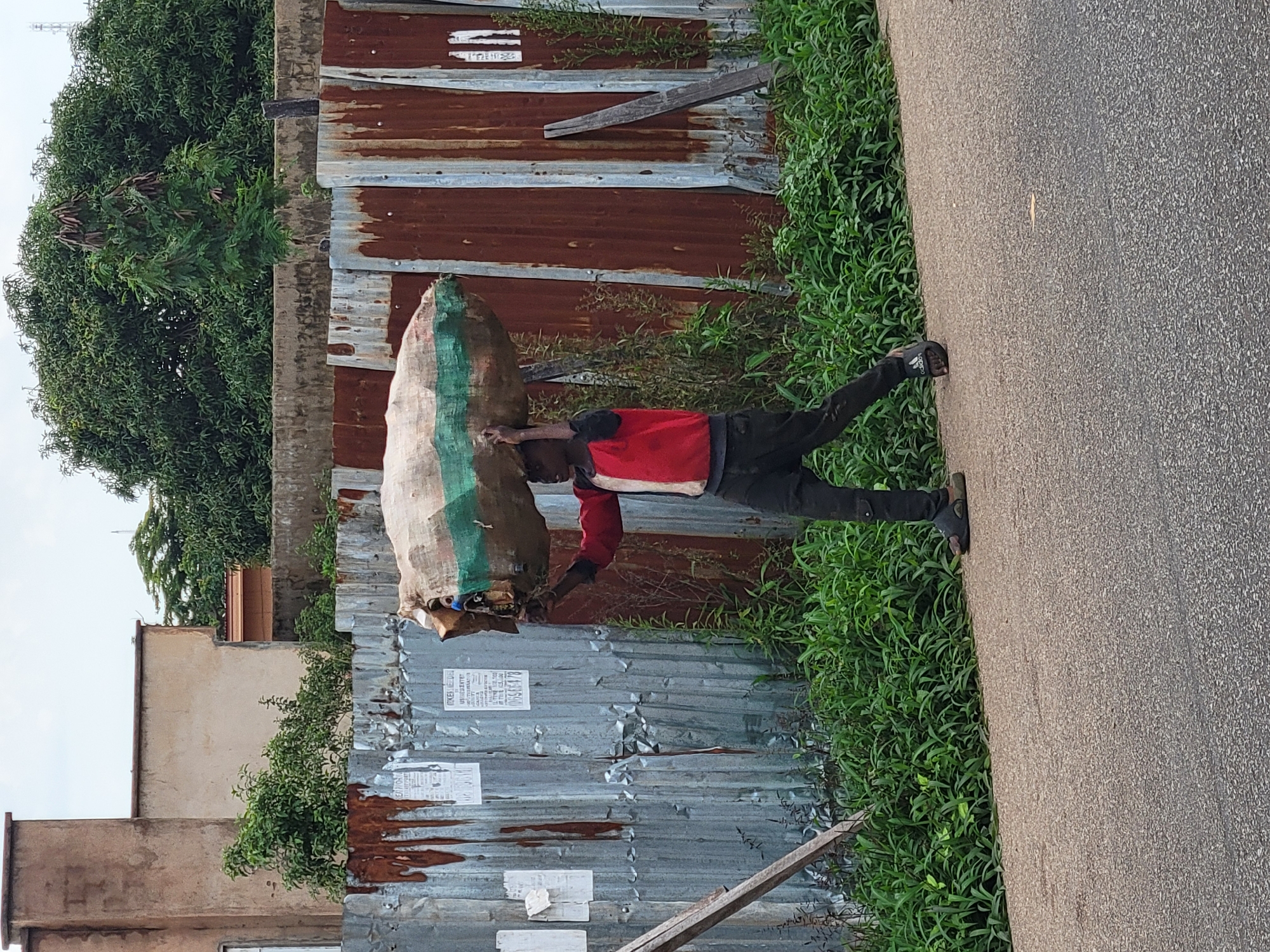 A young man walks on a paved road, carrying a large, lumpy sack on his head. The sack appears to be made of burlap and has green and white stripes. He is wearing a red, white, and black long-sleeved shirt and dark pants. His feet are clad in dark sandals.
He is walking in front of a corrugated metal fence, which is weathered and rusty in places. Behind the fence, there is lush green vegetation, including trees and bushes. In the background, a building with a neutral-colored facade and a reddish-brown roof is visible. The sky is overcast.
The scene appears to be an outdoor environment in the city of Jos, Nigeria, based on the distinctive architecture and vegetation typical of the region. The man's action of carrying the sack on his head suggests a method of transportation for goods, common in many parts of Nigeria. The overall impression is of an everyday scene of labor and daily life in an urban setting.