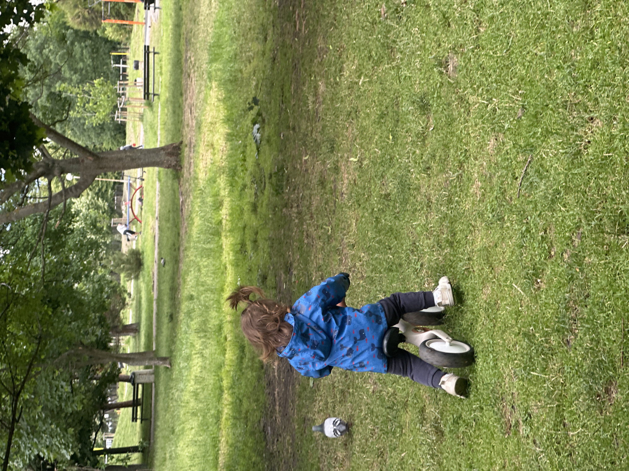 A child with brown hair tied in a ponytail, wearing a blue jacket with a pattern of dark figures and dark pants, is riding a balance bike on a grassy area. The child is facing away from the camera, with their left leg extended as if pushing off the ground. A pigeon is standing to the left of the child on the grass. The scene appears to be a park with mature trees and a playground in the background. The location is identified as a park in the city of Sofia, Bulgaria.