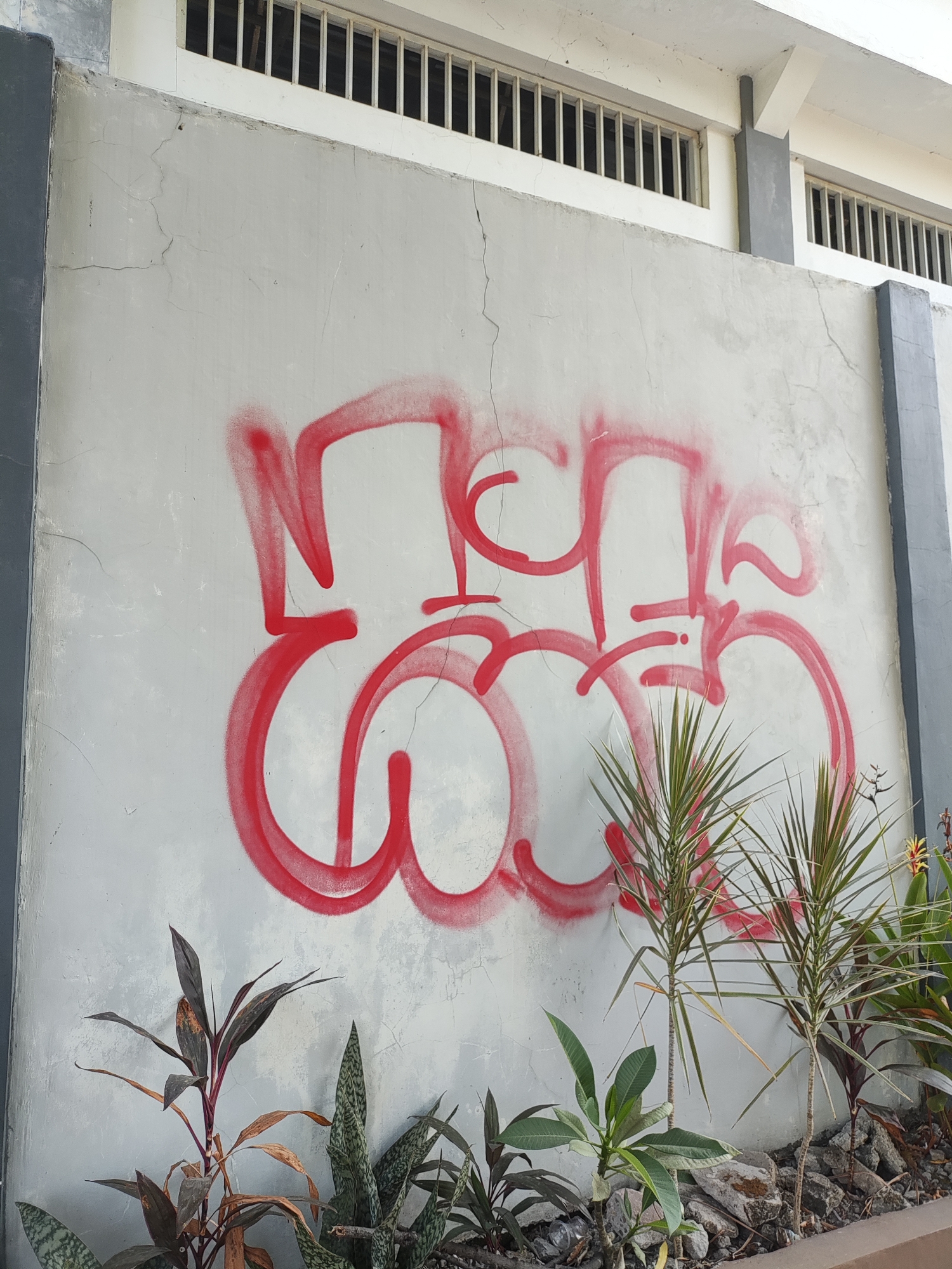 A wall in Cirebon, Indonesia, is covered with red graffiti. The graffiti appears to be a tag or stylized lettering. The wall is made of concrete and shows signs of wear and tear, with cracks visible. In front of the wall, there are several potted plants and rocks. The background shows a white structure with barred windows, possibly part of a building. The scene is outdoors, during the daytime, with natural light illuminating the area.