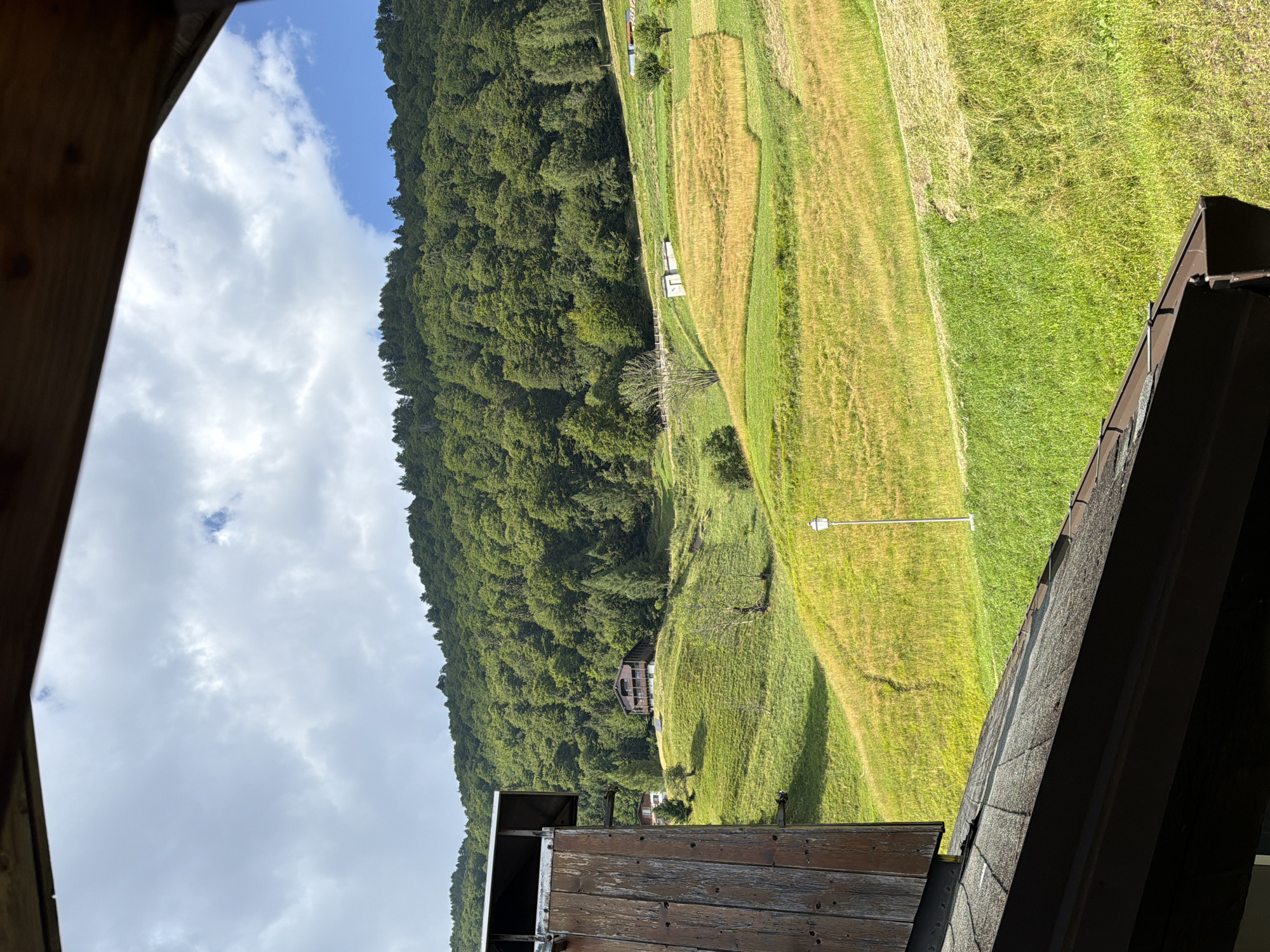 The image depicts a picturesque view of a mountainside village in Sauris/Zahre, Italy. The foreground is dominated by the weathered wooden exterior of a building, possibly a balcony or roof structure, with visible planks and some signs of wear. This structure frames the main subject: a verdant, rolling landscape.
The landscape consists of steep, densely forested mountains on the left, transitioning into cultivated fields and meadows on the right. The fields exhibit varied shades of green and yellow, suggesting different types of vegetation and perhaps recent harvesting. A few scattered buildings, including what appears to be a traditional house with dark roofing and wooden accents, are visible nestled on the slopes. A lamppost stands near a grassy area, indicating the presence of infrastructure within this rural setting.
The sky above is a mix of blue sky and fluffy white clouds, suggesting fair weather, likely during the daytime. The overall impression is one of tranquility and natural beauty, characteristic of a mountain resort or remote village. There is no visible text in the image. The scene captures a typical day in this alpine region, showcasing its natural charm and the integration of human habitation with the natural environment.