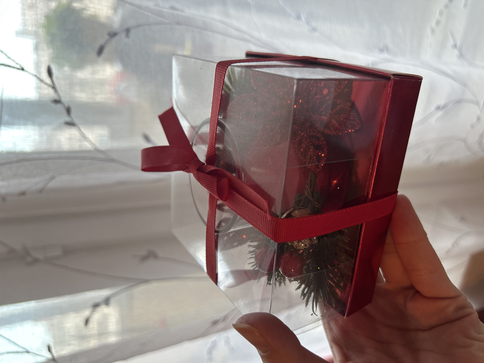 A hand holds a clear plastic box with a red ribbon tied around it. Inside the box is a red ornament with glitter, some green foliage, and red berries. The box has a red cardboard top. The background is a sheer white curtain with a pattern of dark branches. The location is Varna, Bulgaria.
