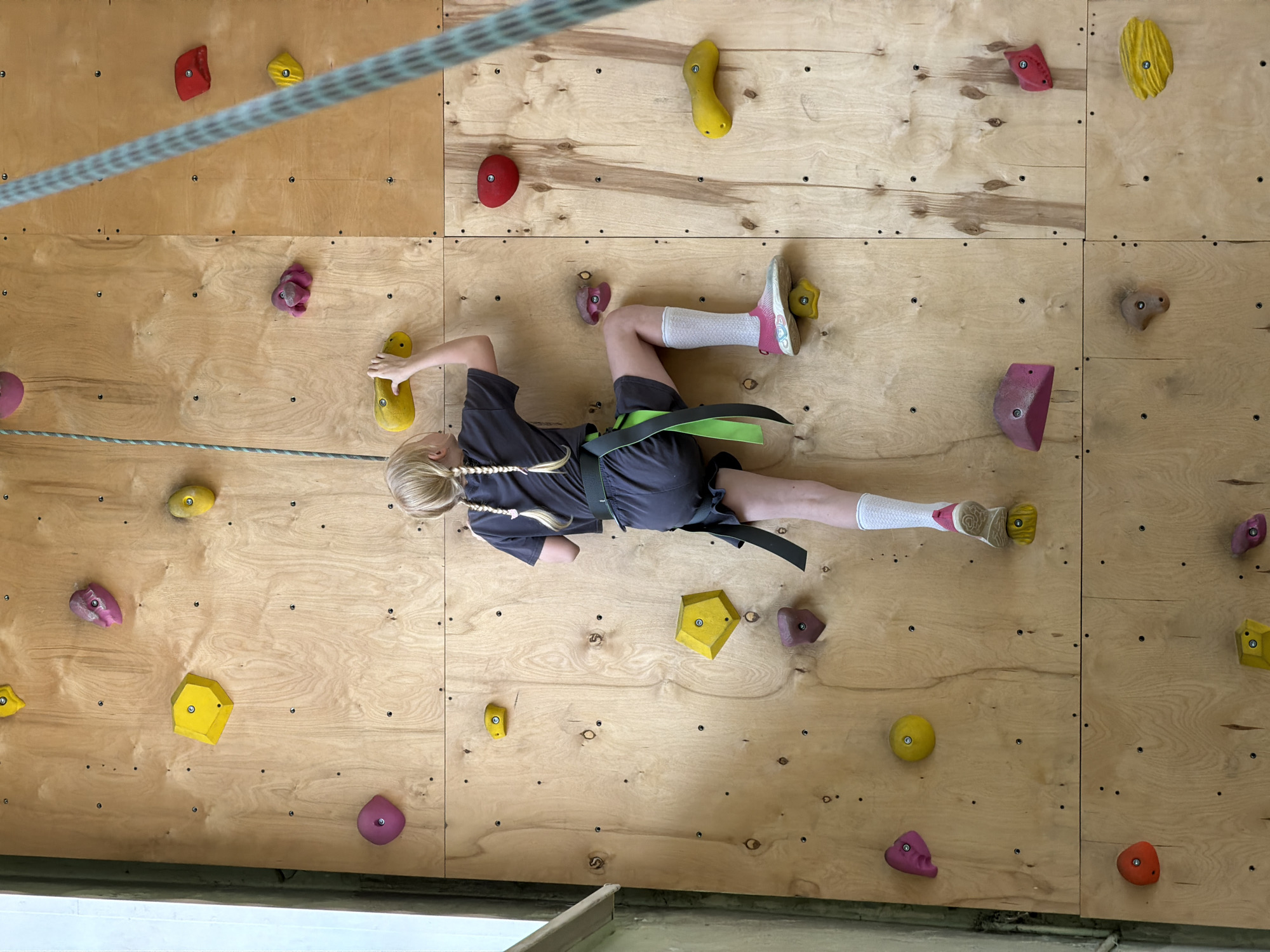 A fair-skinned child with blonde hair in braids, wearing a dark gray short-sleeved shirt, dark shorts, white socks, and athletic shoes, is rock climbing indoors on a plywood wall with attached climbing holds of various colors and shapes (red, yellow, pink, purple). The child is secured with a climbing harness and a rope runs across the top of the climbing wall, suggesting a belaying system is in place. The climbing wall is constructed of multiple panels of light-colored plywood, joined together with visible seams. Small dark bolts are visible, attaching the climbing holds. The environment appears to be an indoor recreational facility. There is no indication in the image that it is in Izhevsk, Russia.