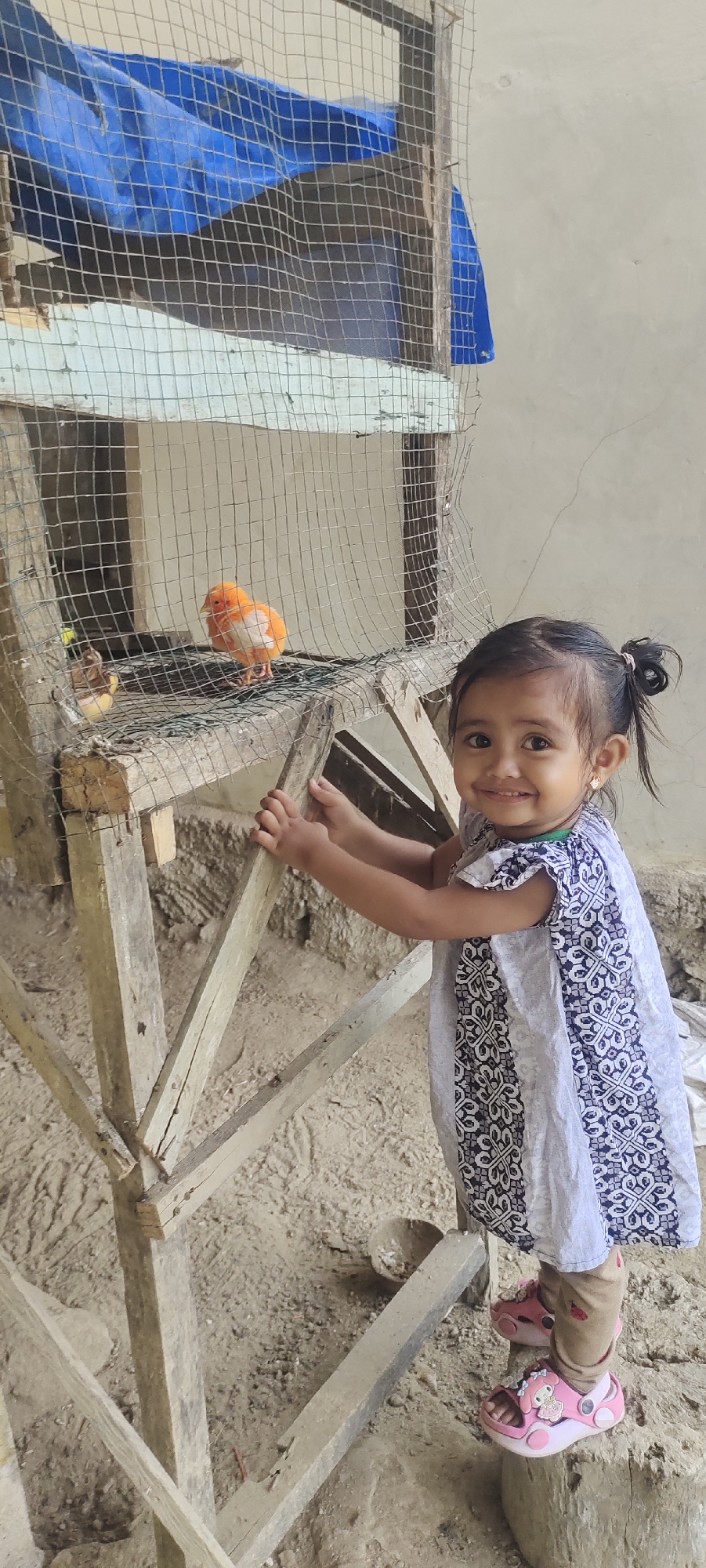 A young girl with dark hair pulled into a ponytail, wearing a light-colored dress with a dark patterned trim, stands near a wooden bird enclosure. She is smiling and looking at the camera, her hands resting on the wooden structure. Inside the enclosure, there are at least two birds, one predominantly orange and white, and another with brown and yellow markings. The enclosure is made of wire mesh and rough wooden posts, with a blue tarp visible behind it. The ground is sandy and uneven, with some scattered debris. The background appears to be a plain wall, suggesting an outdoor or semi-outdoor setting. This scene is located in Geunteng, Indonesia.