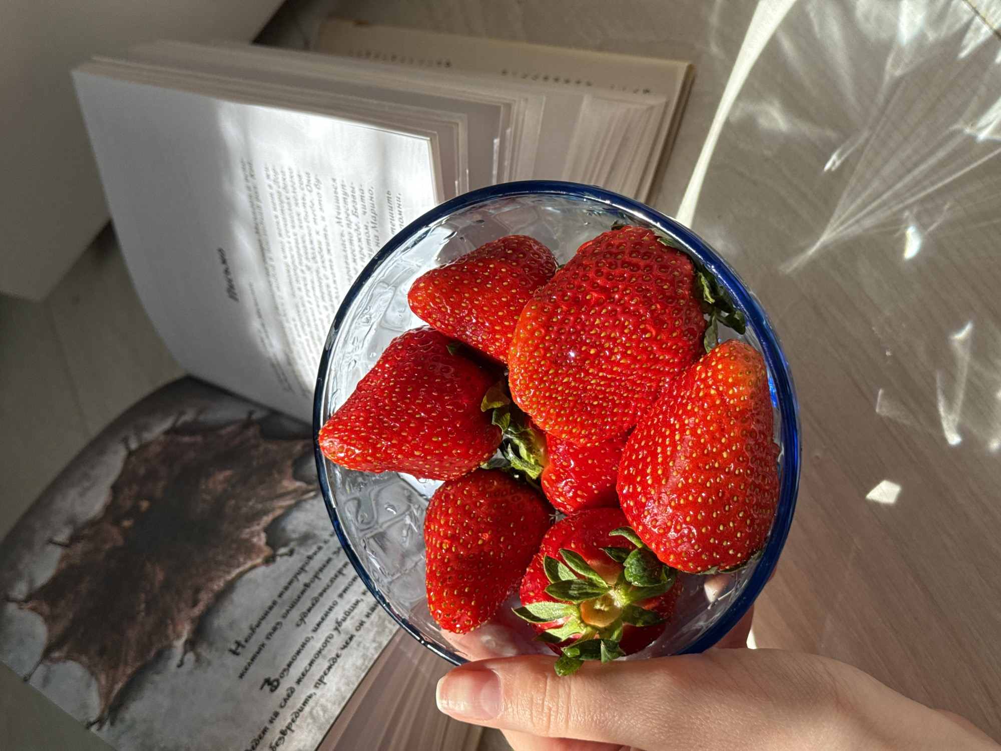 A close-up, high-angle shot captures a hand holding a clear glass bowl filled with vibrant red, freshly washed strawberries. The bowl features a distinct blue rim, and the hand, with neatly manicured nails, supports it from below. The strawberries appear ripe and have small water droplets, suggesting they were recently rinsed.
The scene is set indoors, on a light-colored wooden or laminate surface, illuminated by strong, direct sunlight. This light creates striking, intricate caustic patterns on the surface to the right of the bowl, indicating a sunny time of day, likely morning or late afternoon.
In the background and foreground, two open books are visible. One is a thick book with white pages filled with Cyrillic text, partially obscured. The other, positioned lower and to the left, is also open, revealing a dark, textured illustration resembling a bat-like creature or piece of leather on one page, alongside more Cyrillic text.
The visible text, extracted via OCR, includes phrases such as "Необычная татуировка си" (Unusual tattoo), "Желтых глаз олицетворяет за" (Yellow eyes symbolize), "судмедэксперт" (forensic expert), "Возможно, именно этом" (Perhaps this is why), "ведет на след жестокото убийцы, к" (leads to the trail of a cruel killer), and "Безвредить, прежде чем он нан" (neutralize, before he...). These phrases strongly suggest the books are related to a crime, mystery, or thriller genre. The overall ambiance implies a quiet moment of relaxation, combining reading with a fresh snack in a sunlit space.