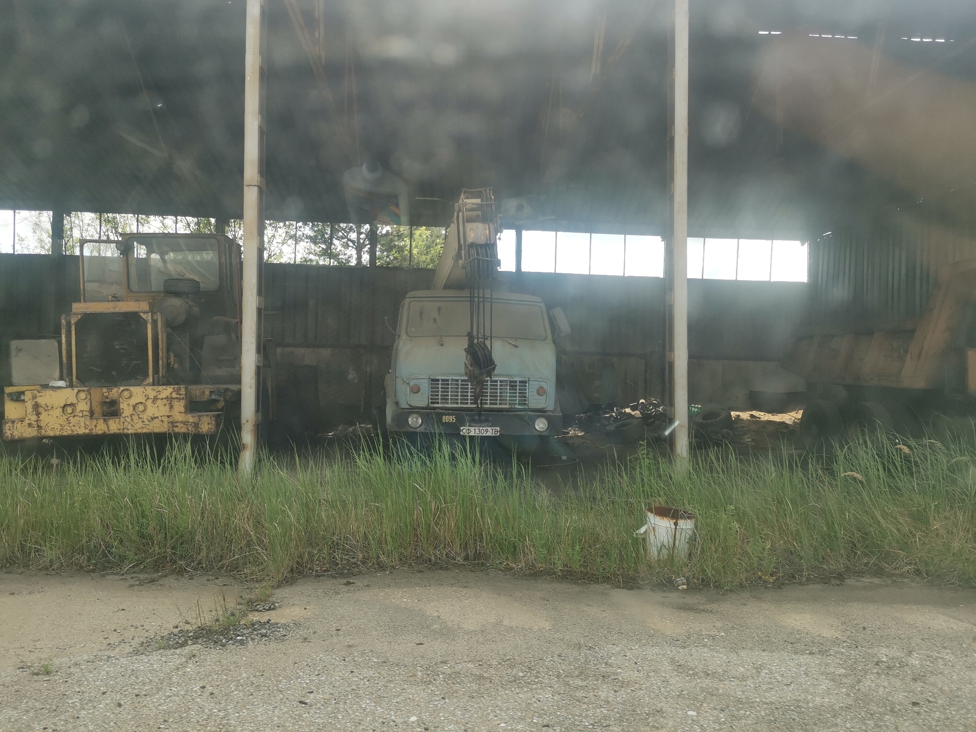 The image depicts two derelict vehicles stored inside a dilapidated metal structure. On the left, a yellow construction vehicle is partially visible, with its front grill and cab exposed. To the right of it, a light blue crane truck stands center frame. The crane truck has a visible license plate with the identification CD-1309-TB. Tall grass grows along the edge of the road in front of the structure. A white bucket sits amongst the grass near the right edge. The building has a skeletal frame, with gaps in the walls and roof allowing natural light to filter through. Based on the license plate, the vehicles are located in Zhivkovo, Bulgaria.