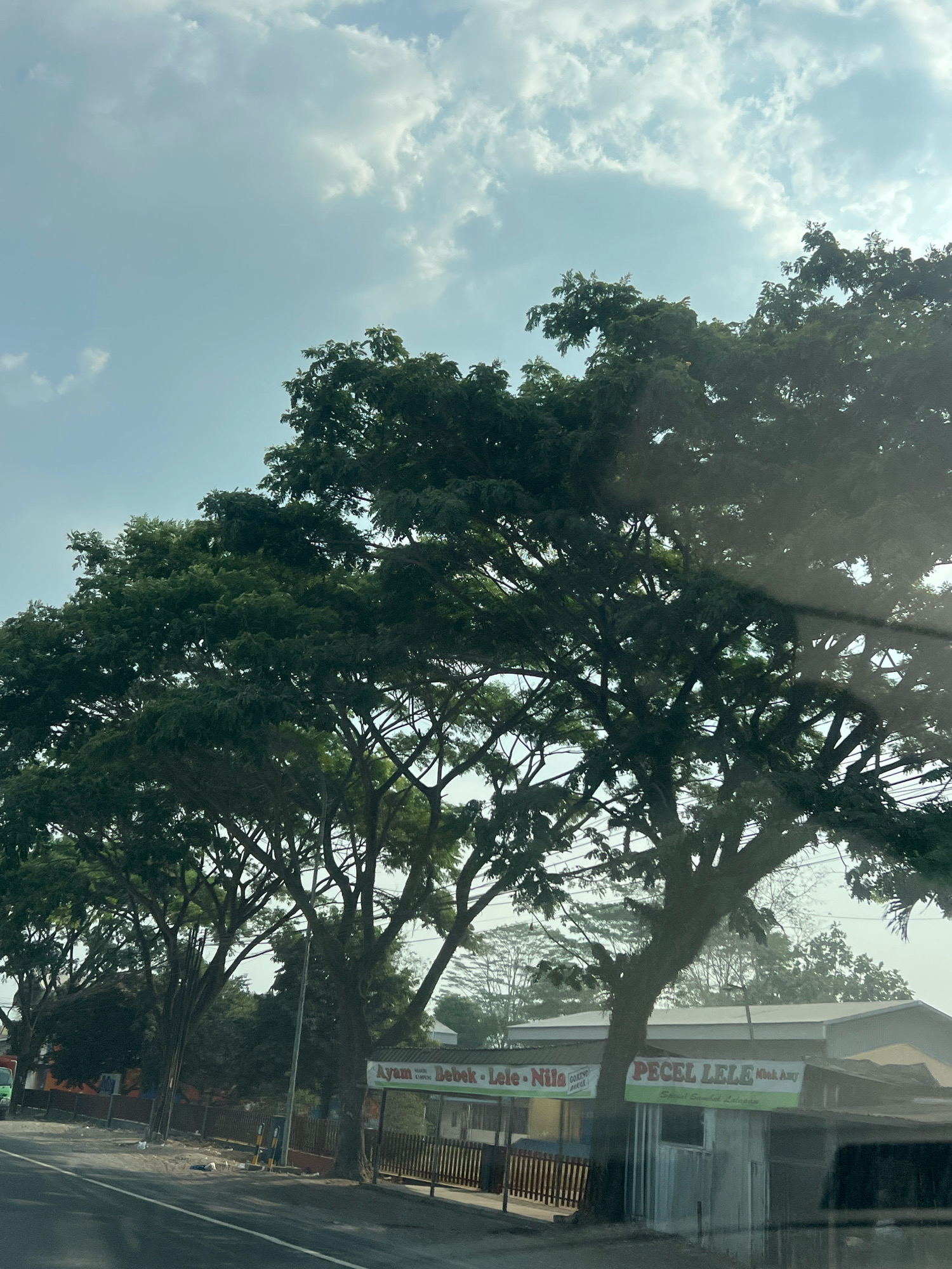 A street-level, outdoor, medium shot captures a section of a roadway lined with lush, mature trees in Krajan Satu, Indonesia. The sky above is a pale blue, partially obscured by scattered white clouds. In the foreground, the asphalt road is visible, marked with a white lane line. To the right of the road, a low-lying building with a corrugated metal roof houses a food stall advertising "PECEL LELE" (fried catfish) and "Ayam Bebek" (chicken and duck), with additional signage for "Goreng" (fried) and "Sambal" (chili paste). The building is bordered by a wooden fence. Several large trees with dense green foliage dominate the midground and background, their branches extending across the frame. A faint reflection can be seen on what appears to be a car window, suggesting the photo was taken from inside a vehicle. A green truck is partially visible on the far left of the image. The overall scene depicts a roadside environment with a dining establishment and abundant natural greenery.